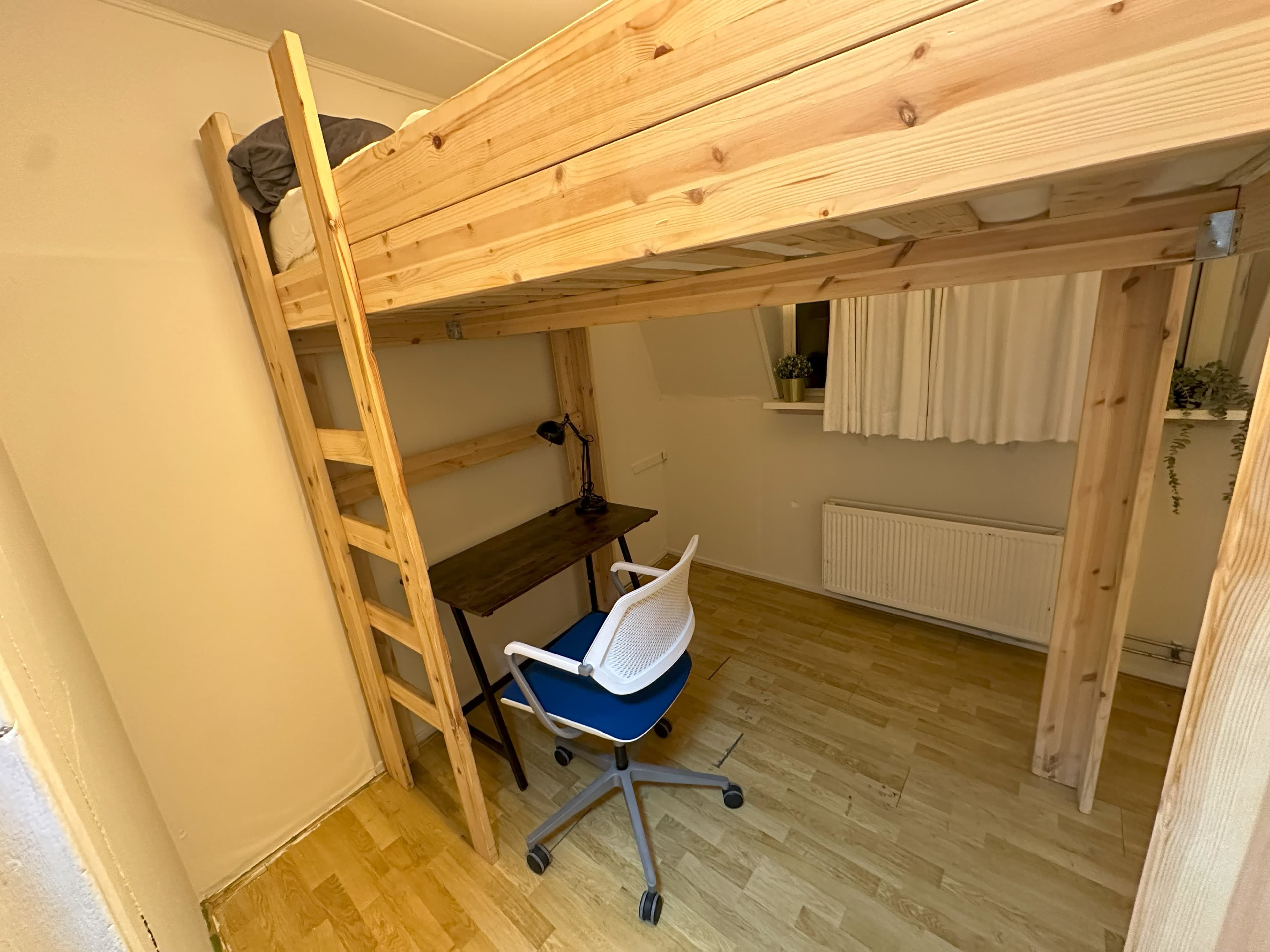 show all photos of Krommedijk