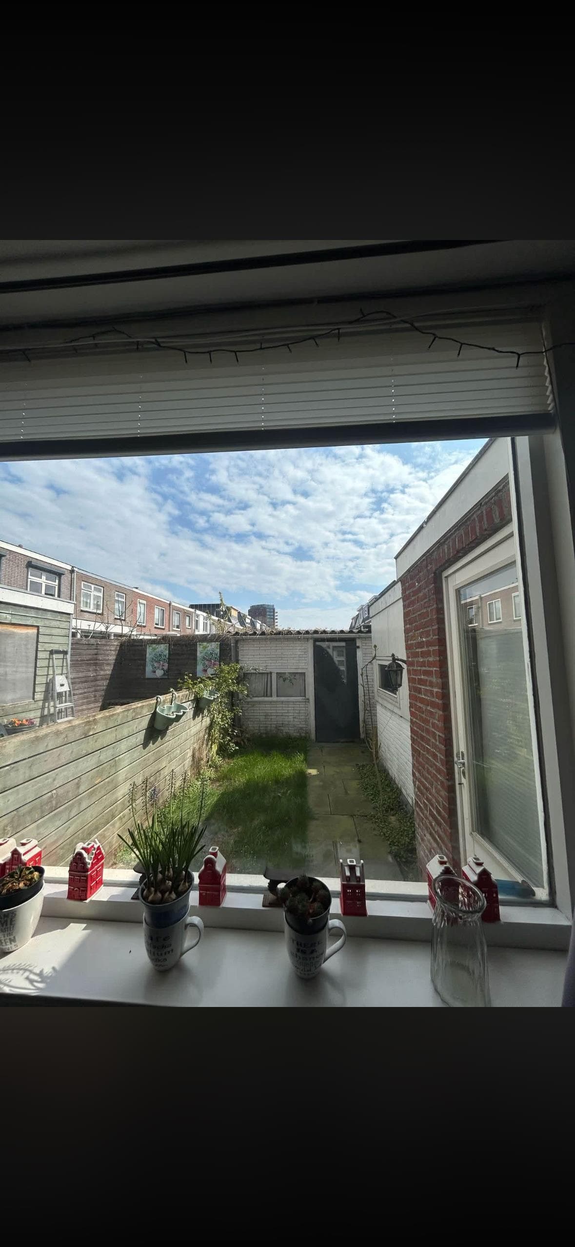 show all photos of Rembangstraat