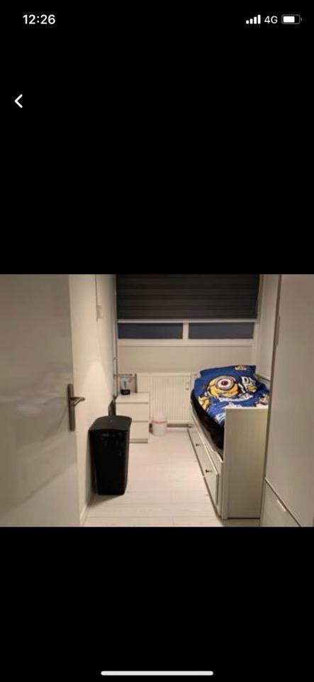 show all photos of Pharus