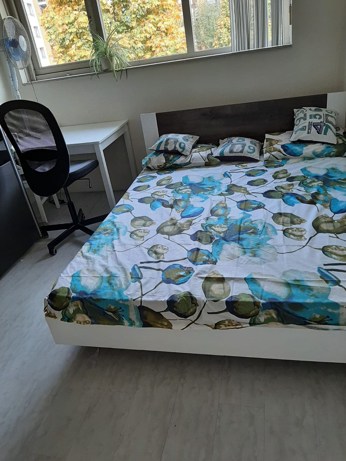 show all photos of Hoeksewaard