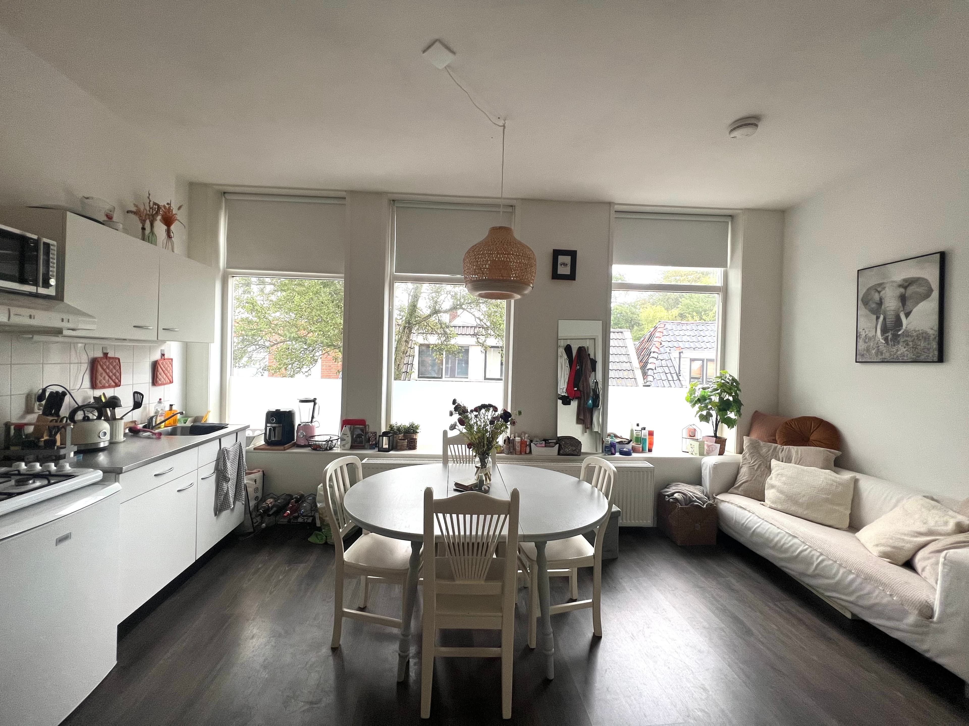 show all photos of Kleine Bergstraat