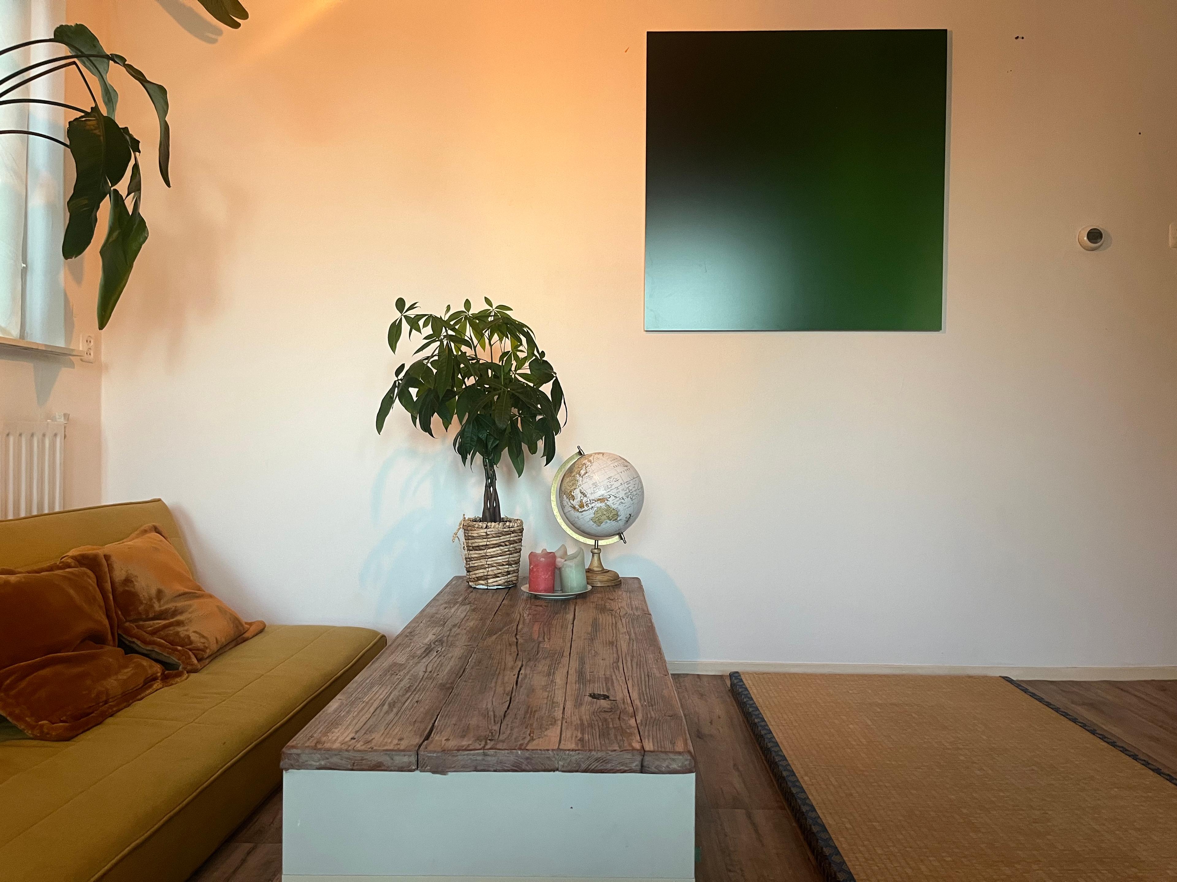 show all photos of Tolsteegsingel