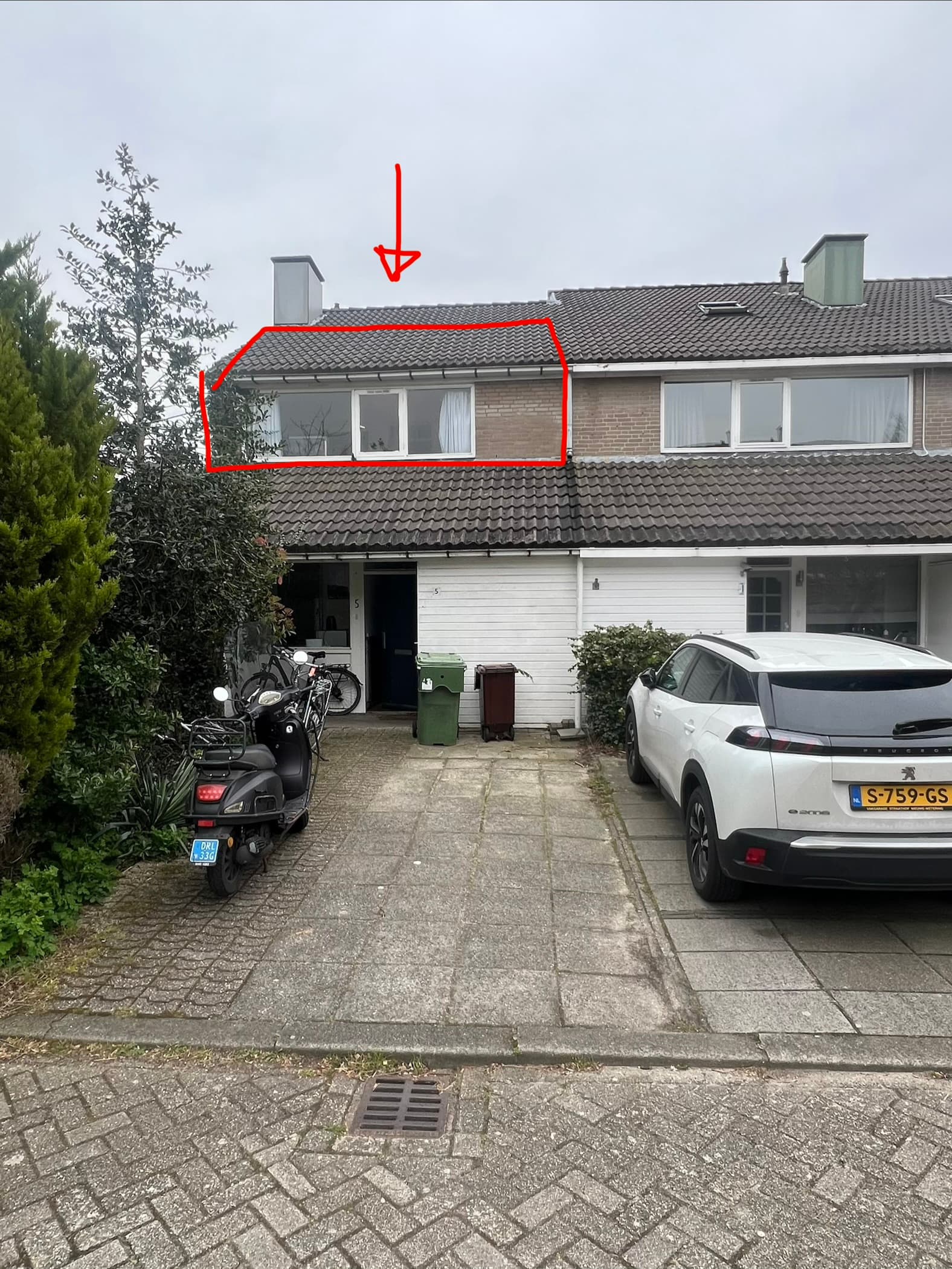 show all photos of Iepentakvlinder