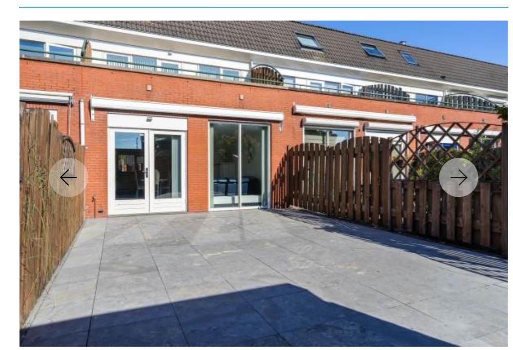 show all photos of Rembrandthage