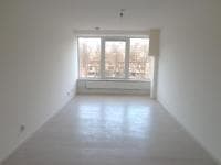 show all photos of Gloriantdreef