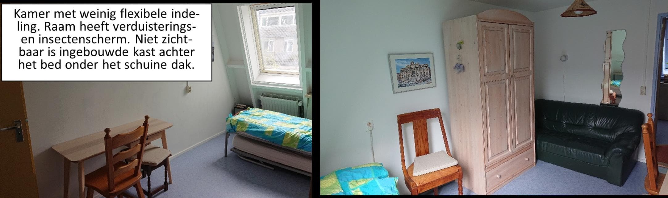 show all photos of Madeliefje