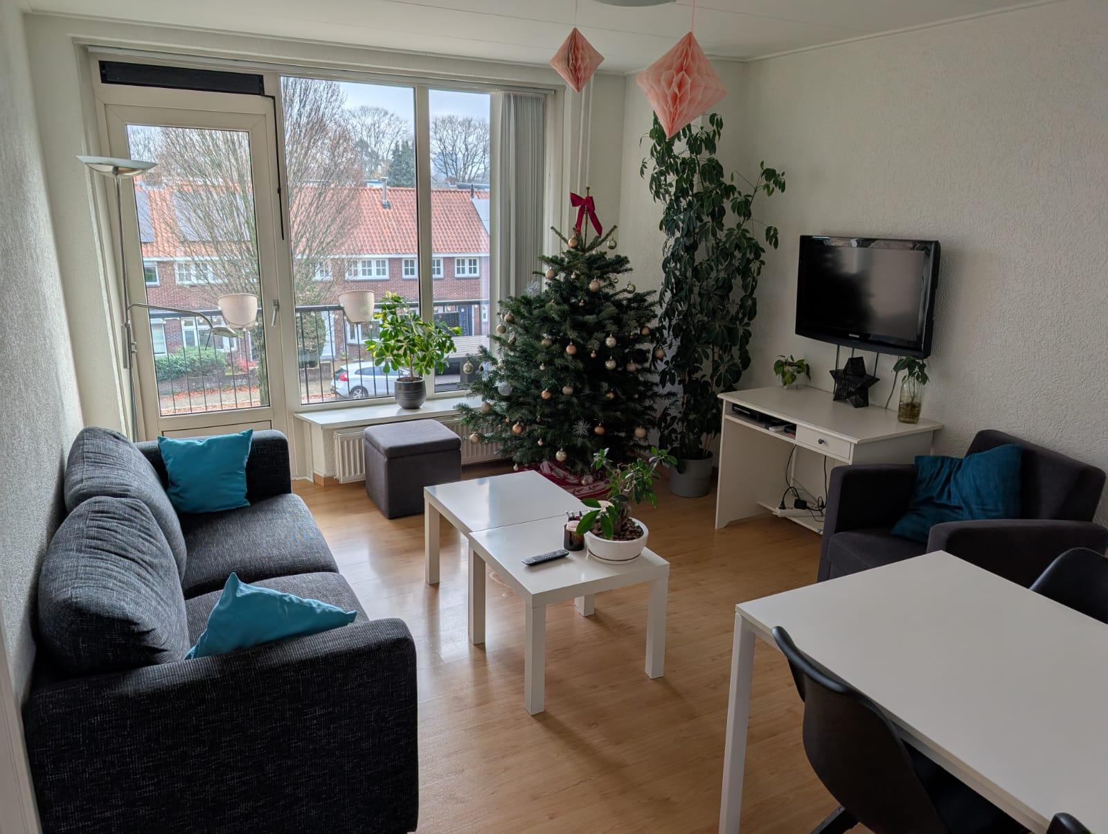 show all photos of Wolfstraat