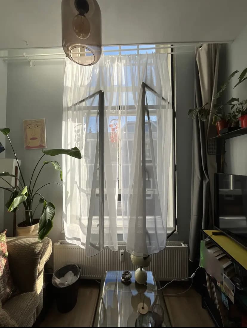 show all photos of Hoge Nieuwstraat