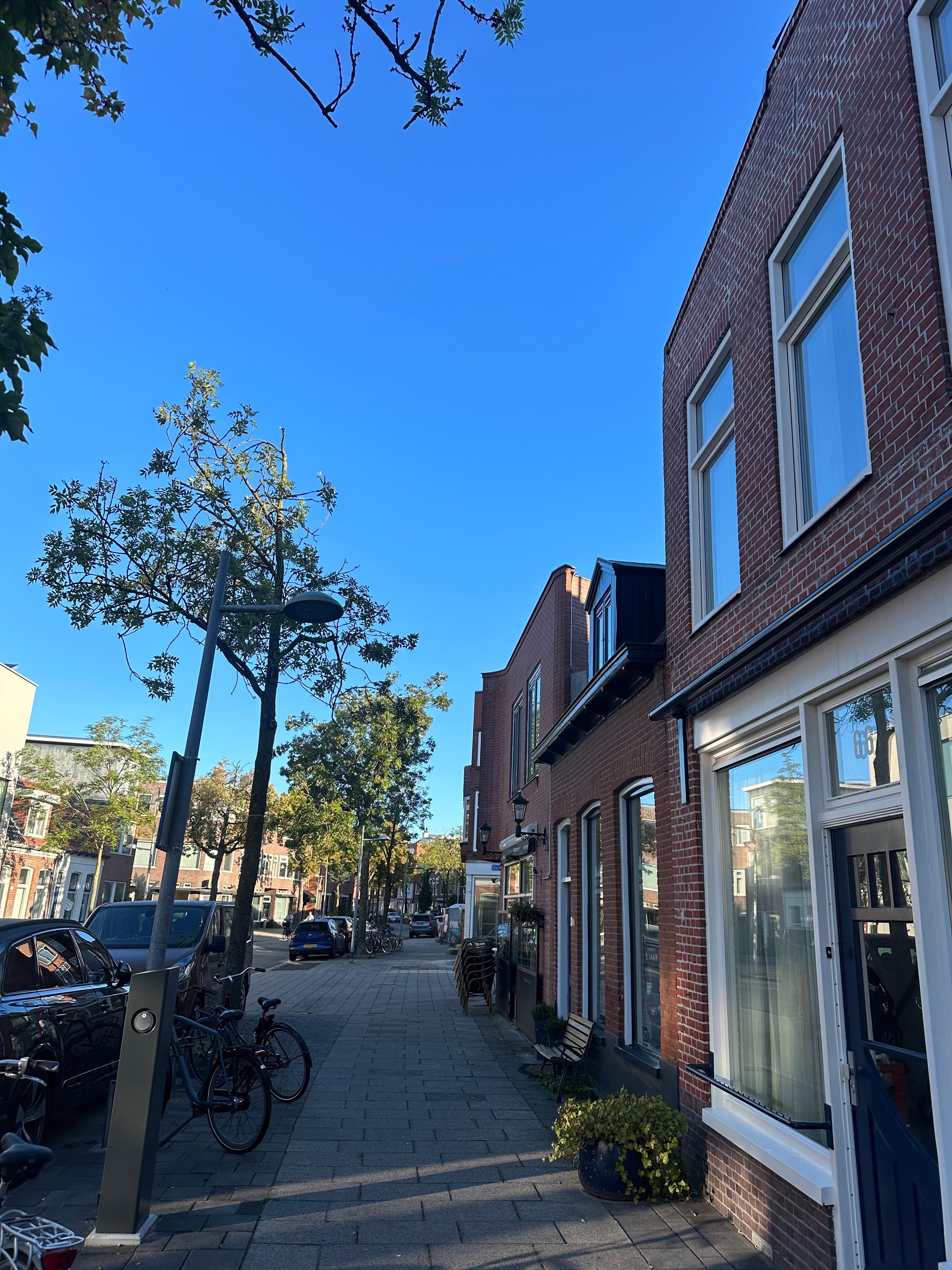 show all photos of Meeuwerderweg