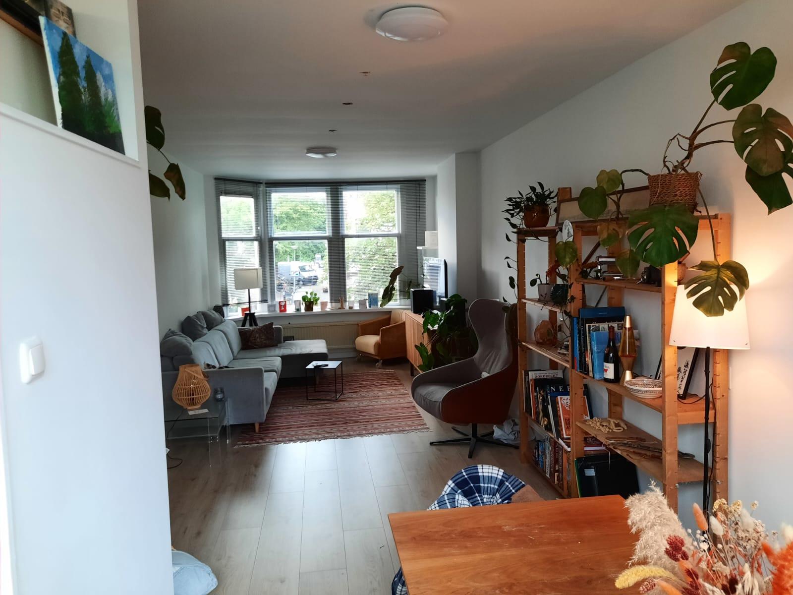 show all photos of Van Ostadelaan