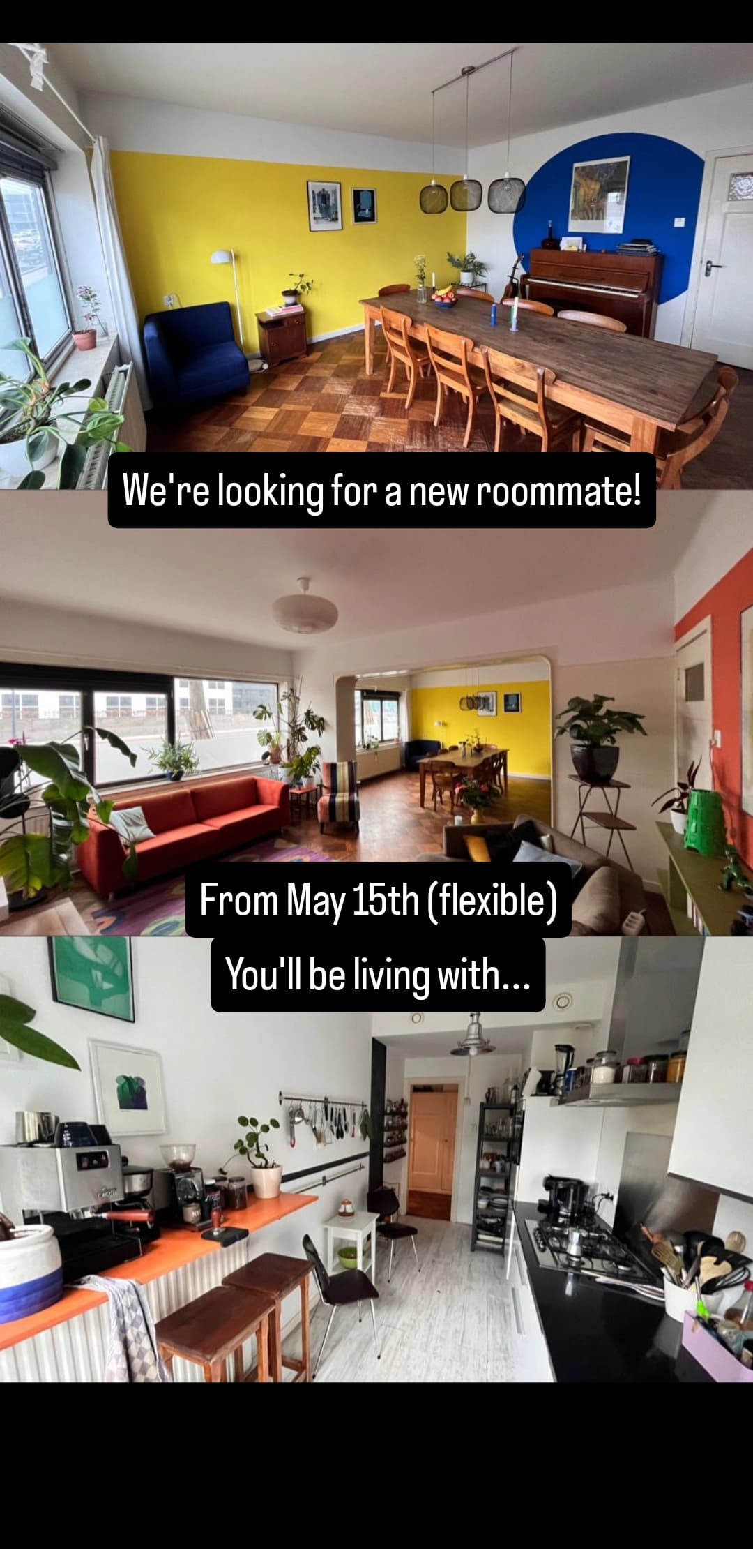 show all photos of Rochussenstraat