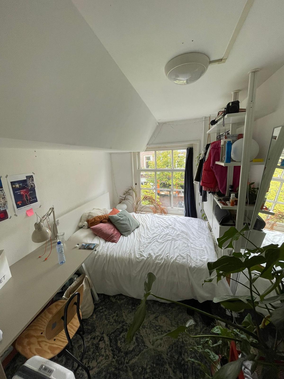 show all photos of Hippolytusbuurt