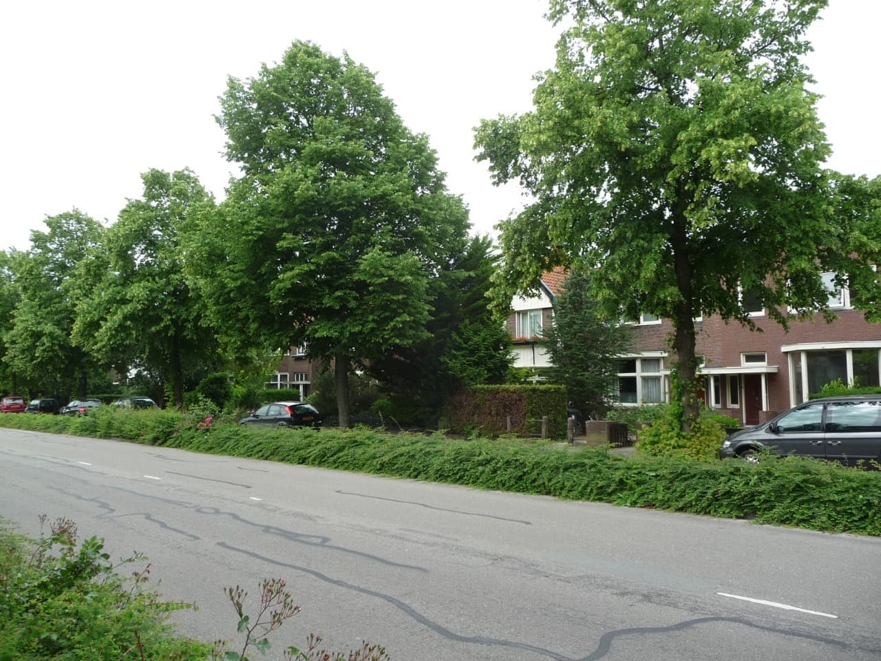 show all photos of Verlengde Schrans