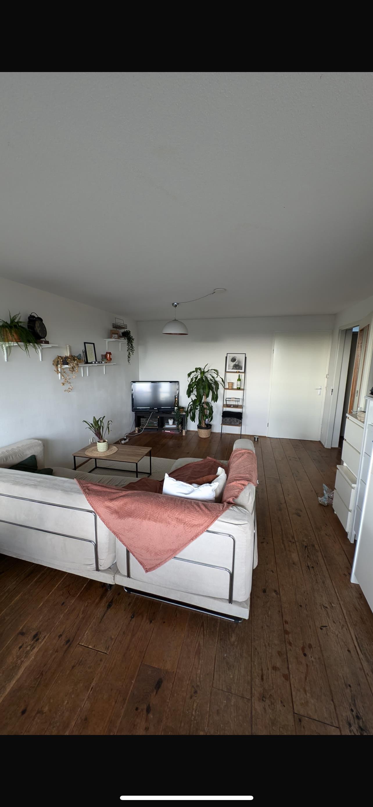 show all photos of Zandvoortstraat