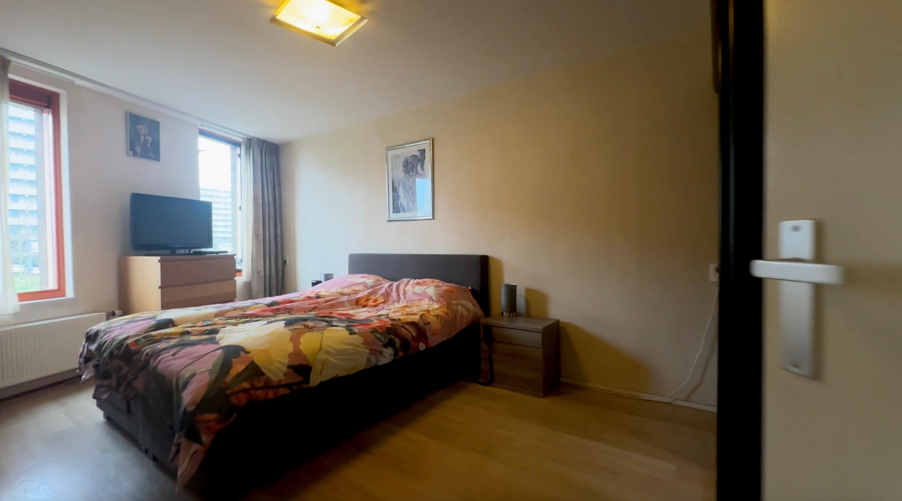 show all photos of Lontarpalmstraat