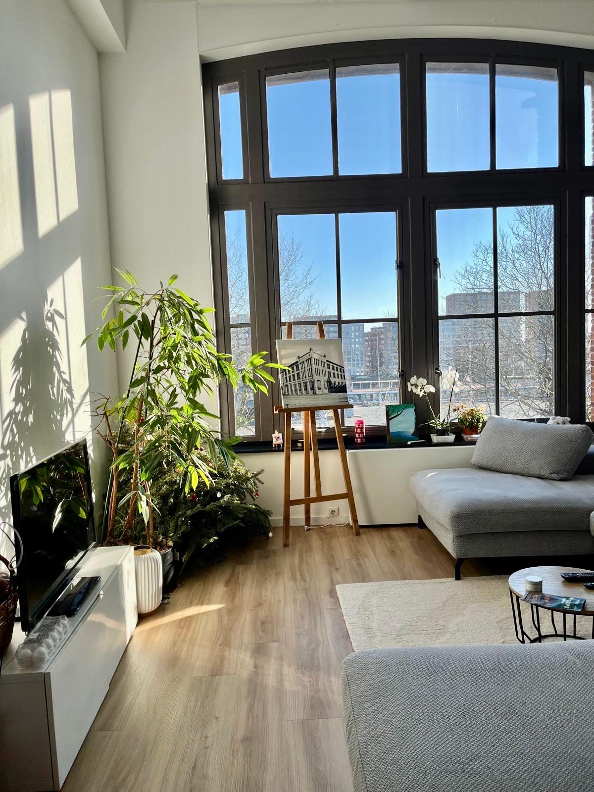 show all photos of Westzeedijk