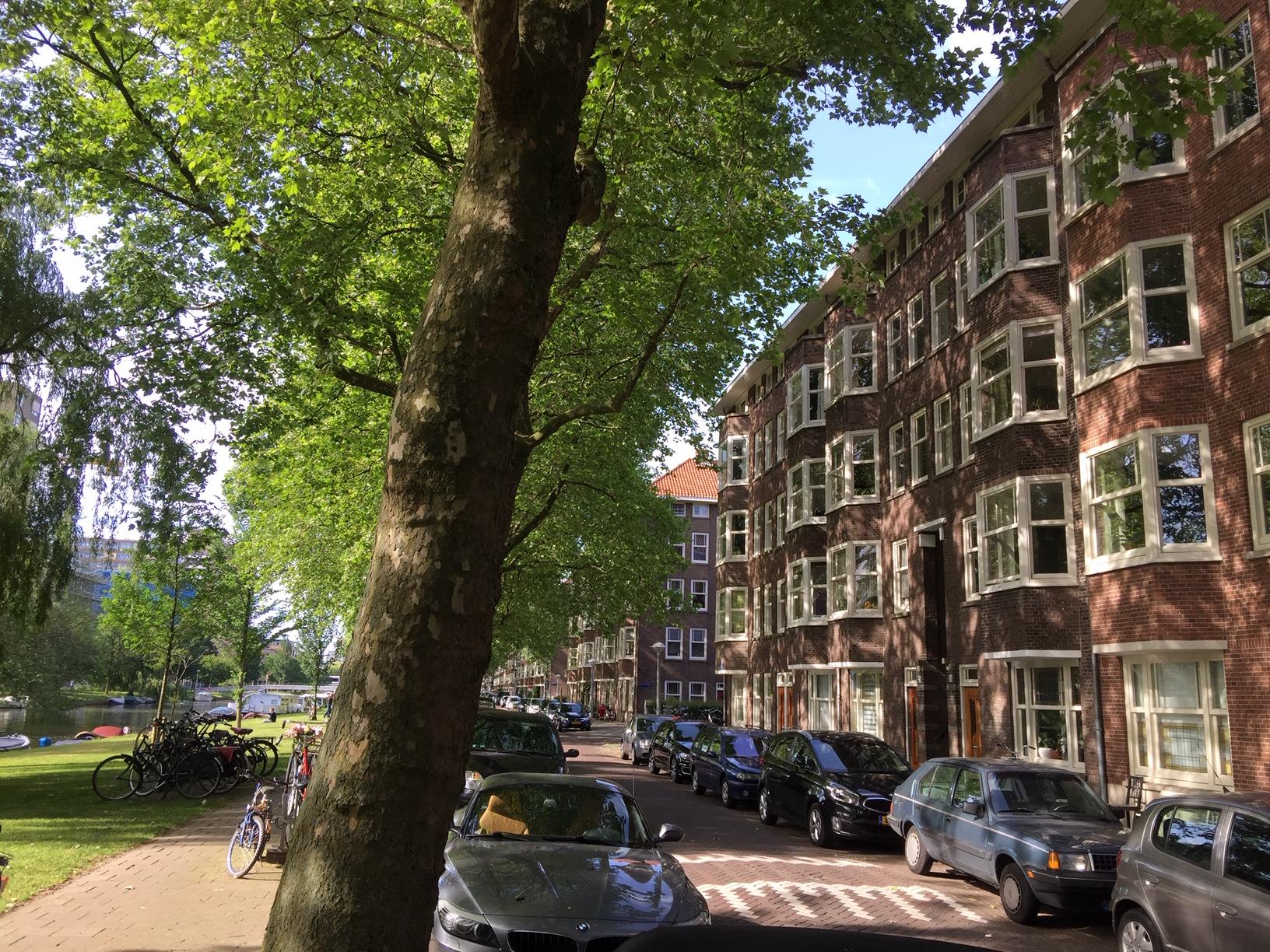 show all photos of Westlandgracht