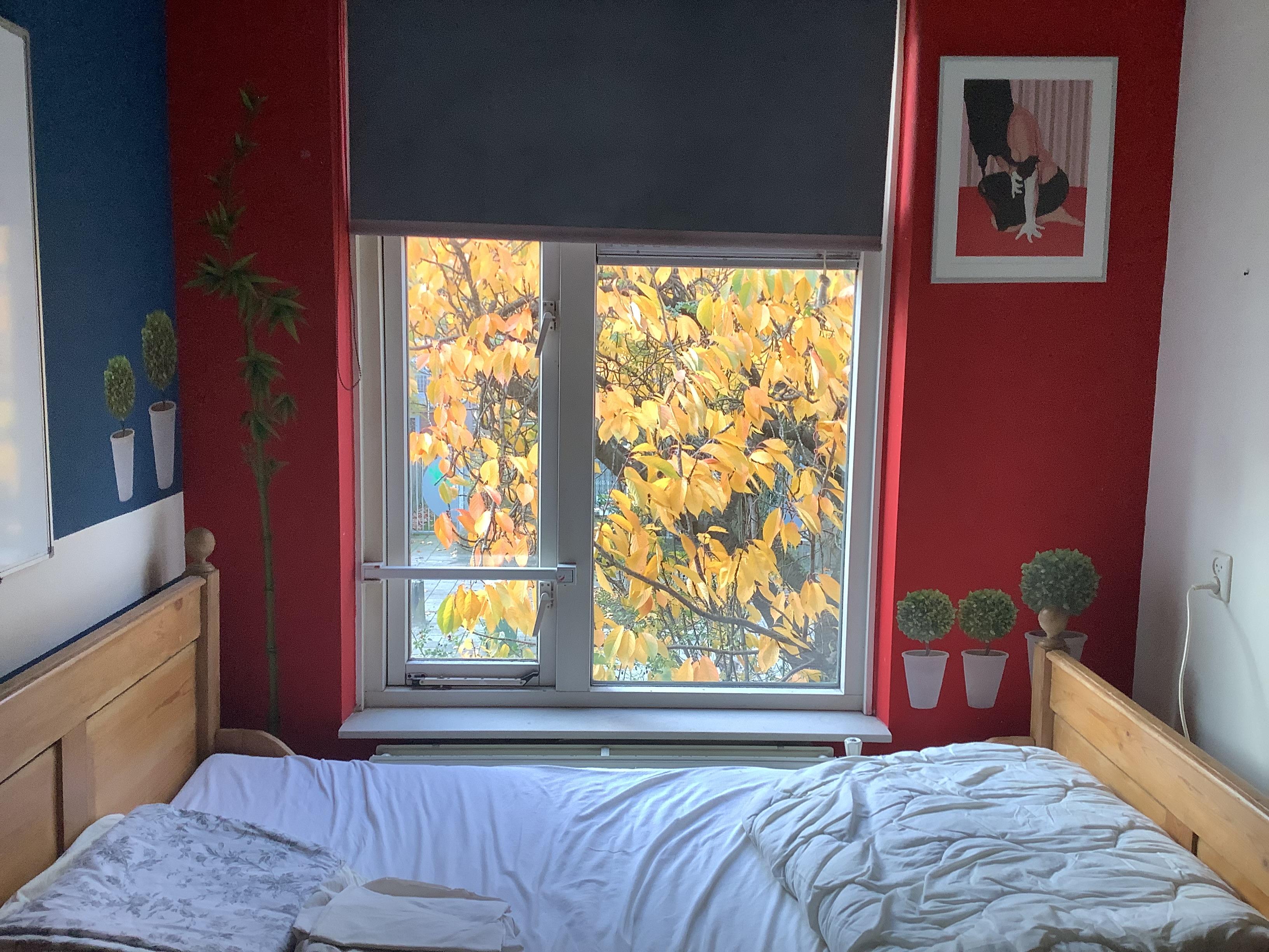 show all photos of Bilderdijkstraat