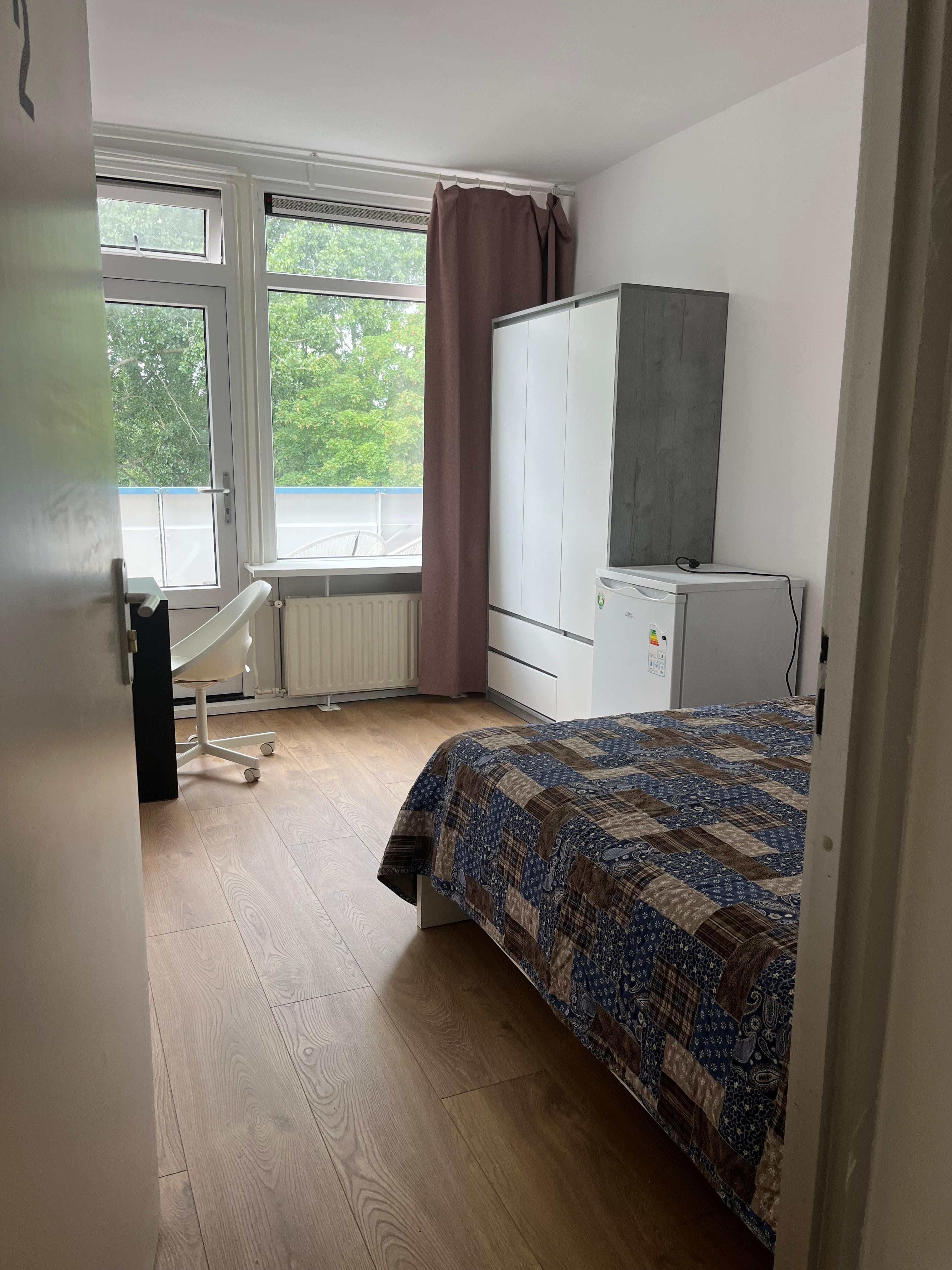 show all photos of Midscheeps