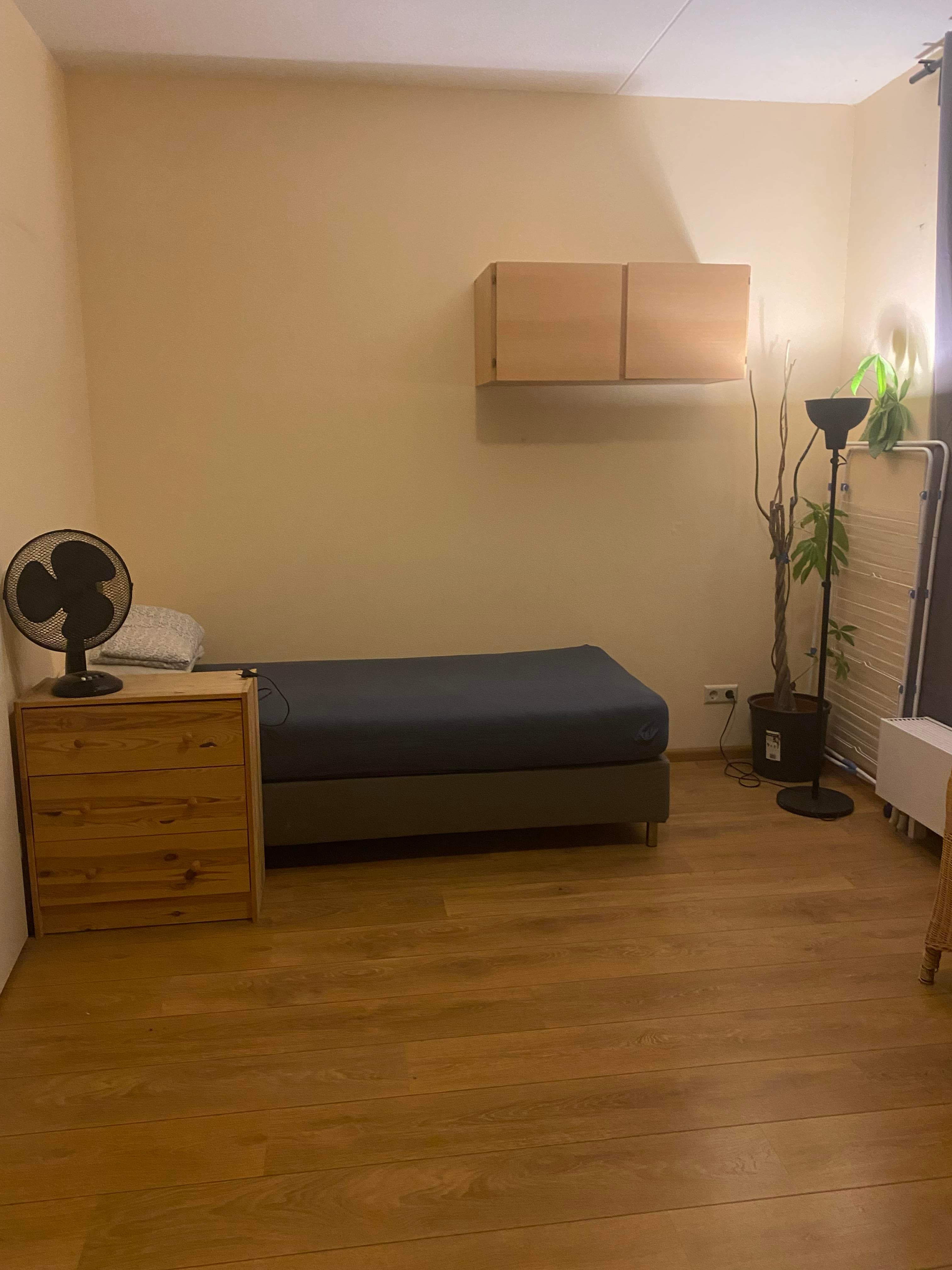 show all photos of Bart Poesiatstraat