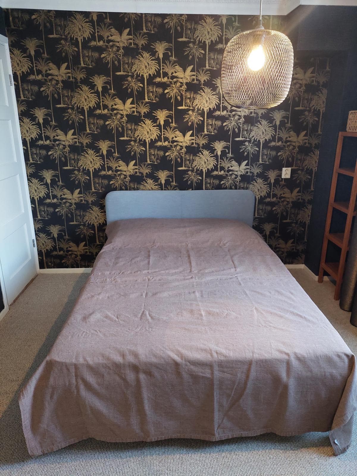 show all photos of Cornelis Roobolstraat