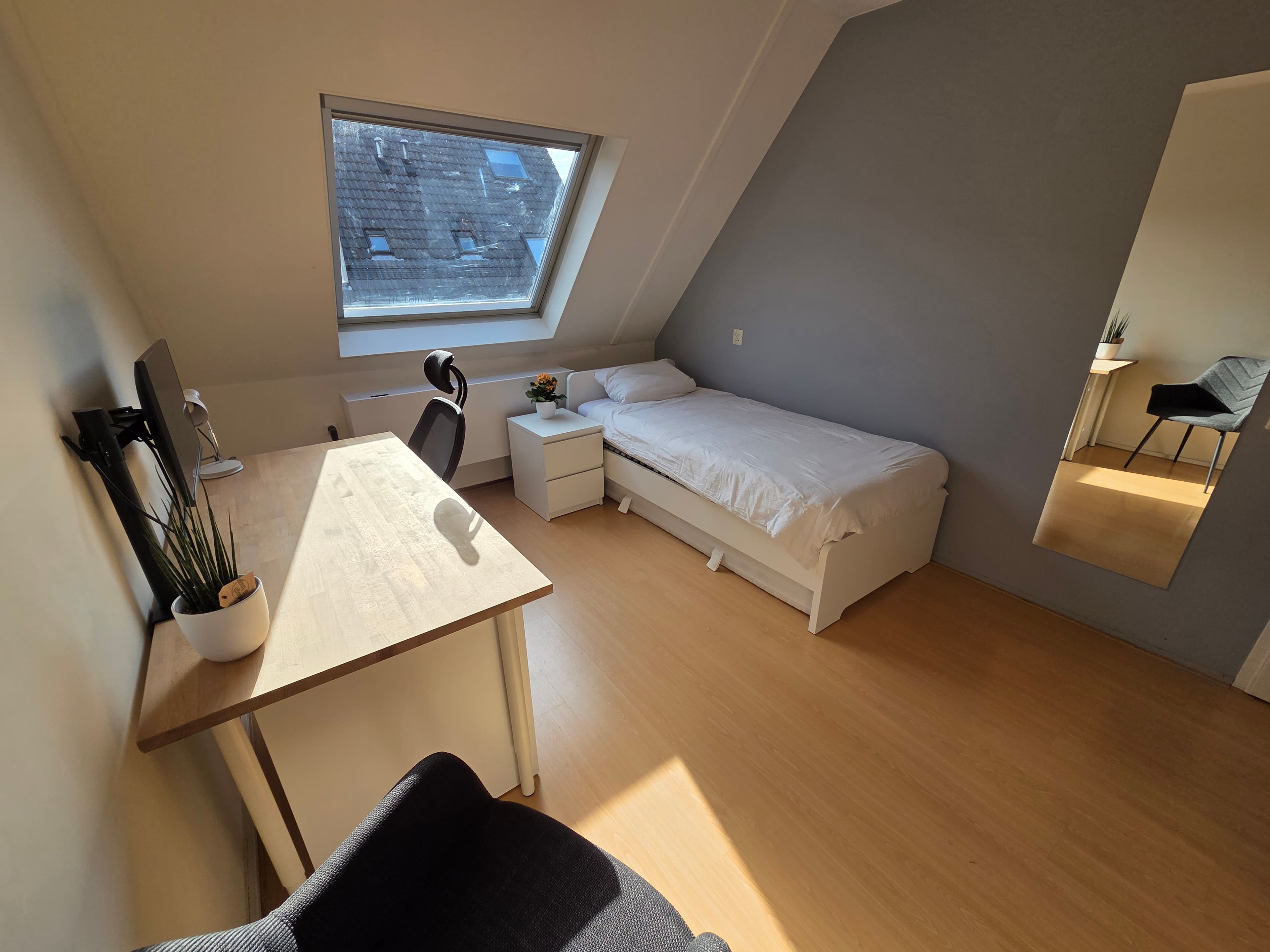 show all photos of Olmendaal