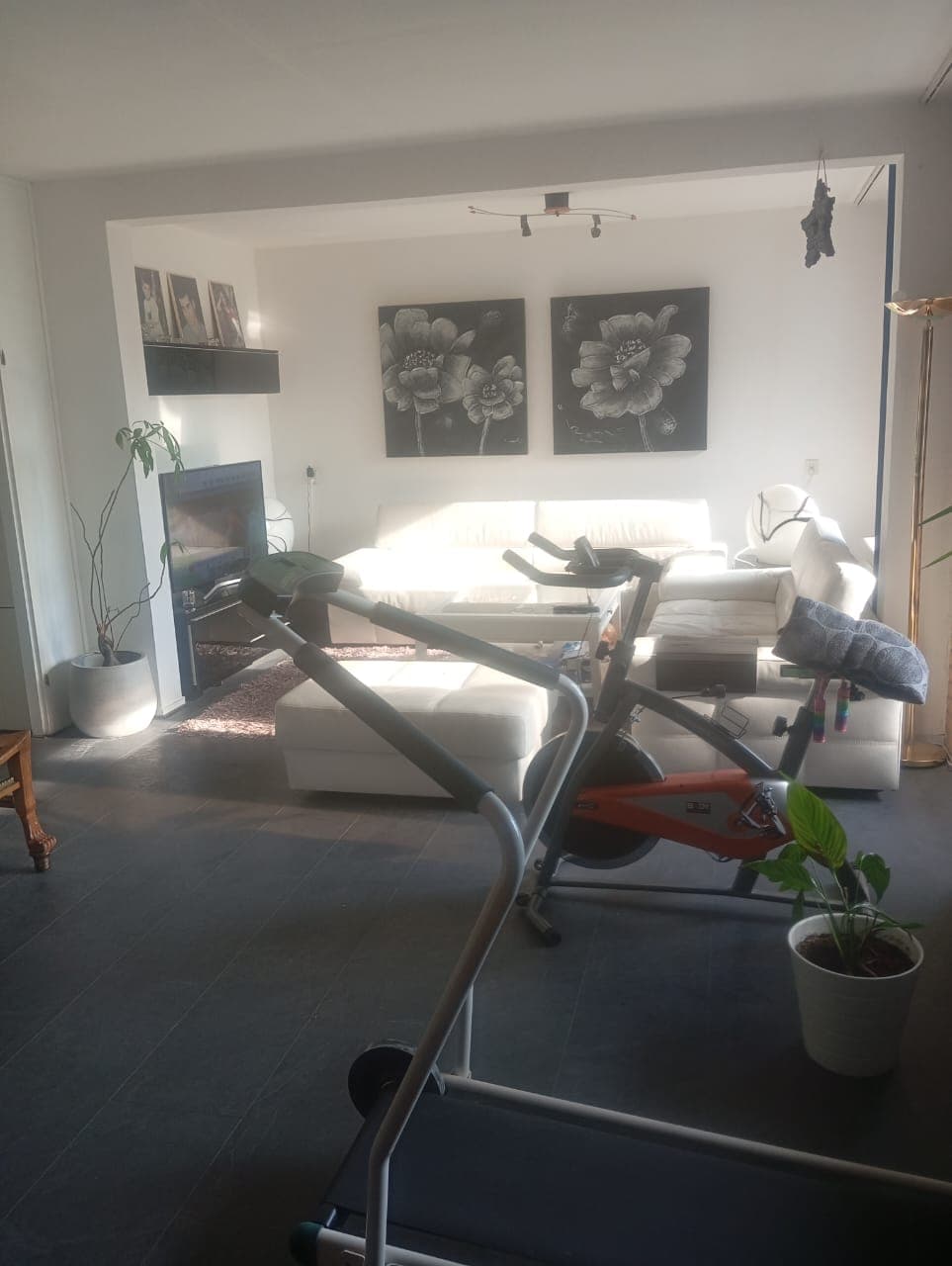 show all photos of In de Papiermolen