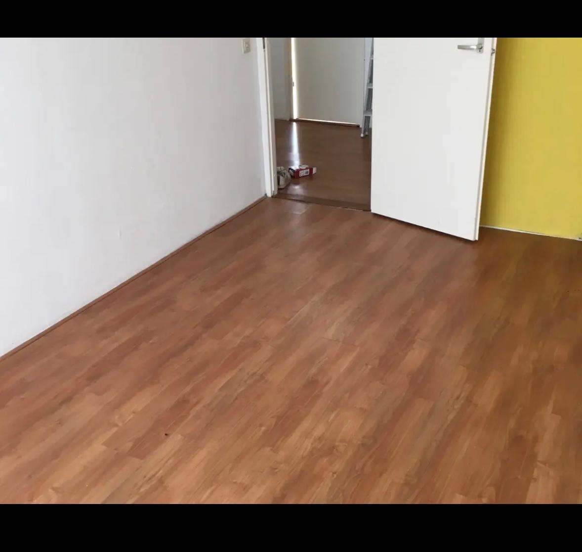 show all photos of Holwortel