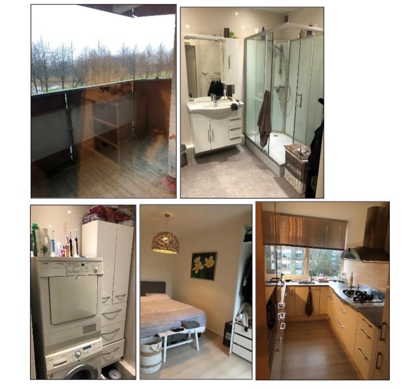 show all photos of Midscheeps