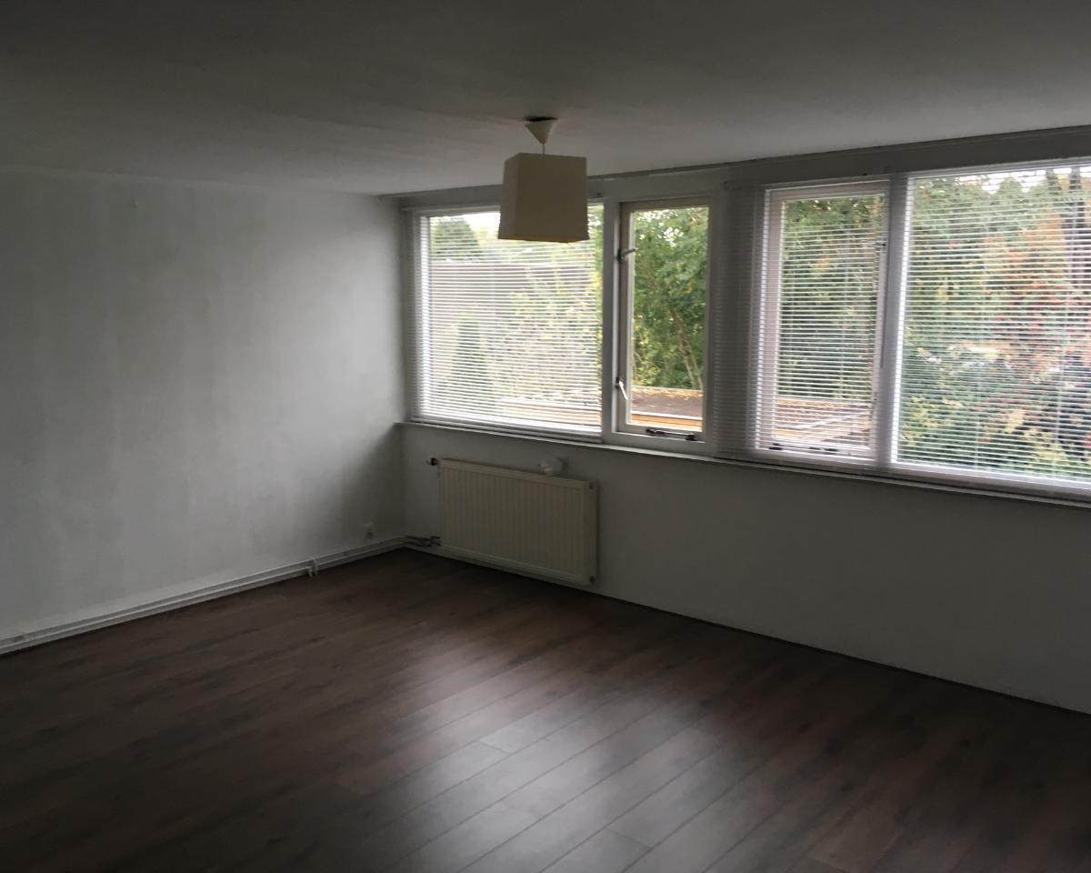 show all photos of Tolhuis