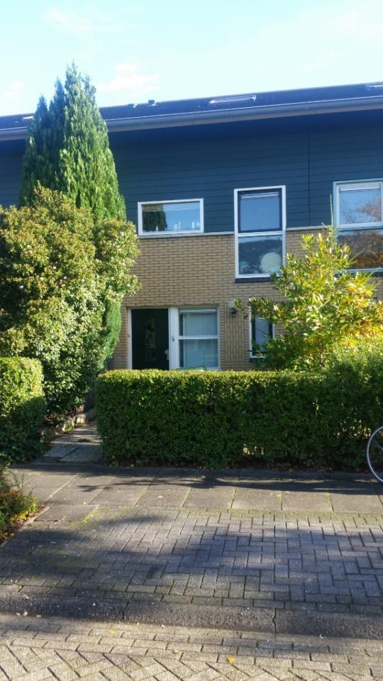 show all photos of Aprilstraat