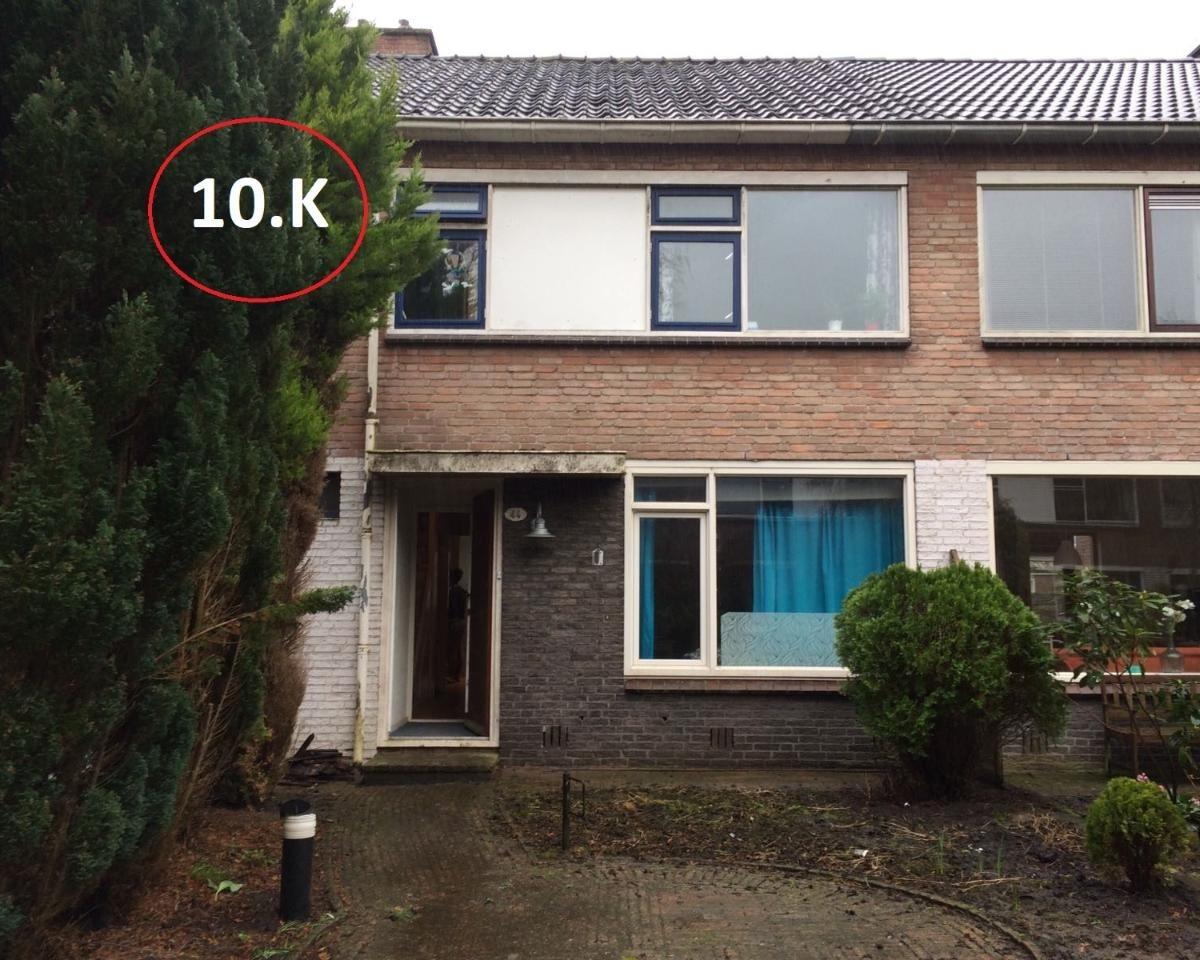 show all photos of Ranonkelstraat