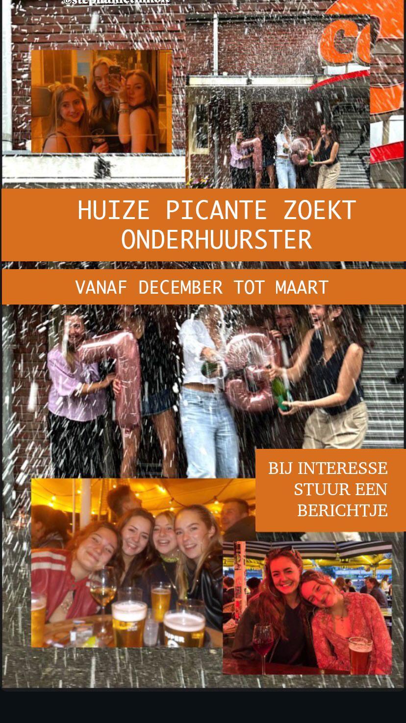 show all photos of Hof van Delftlaan