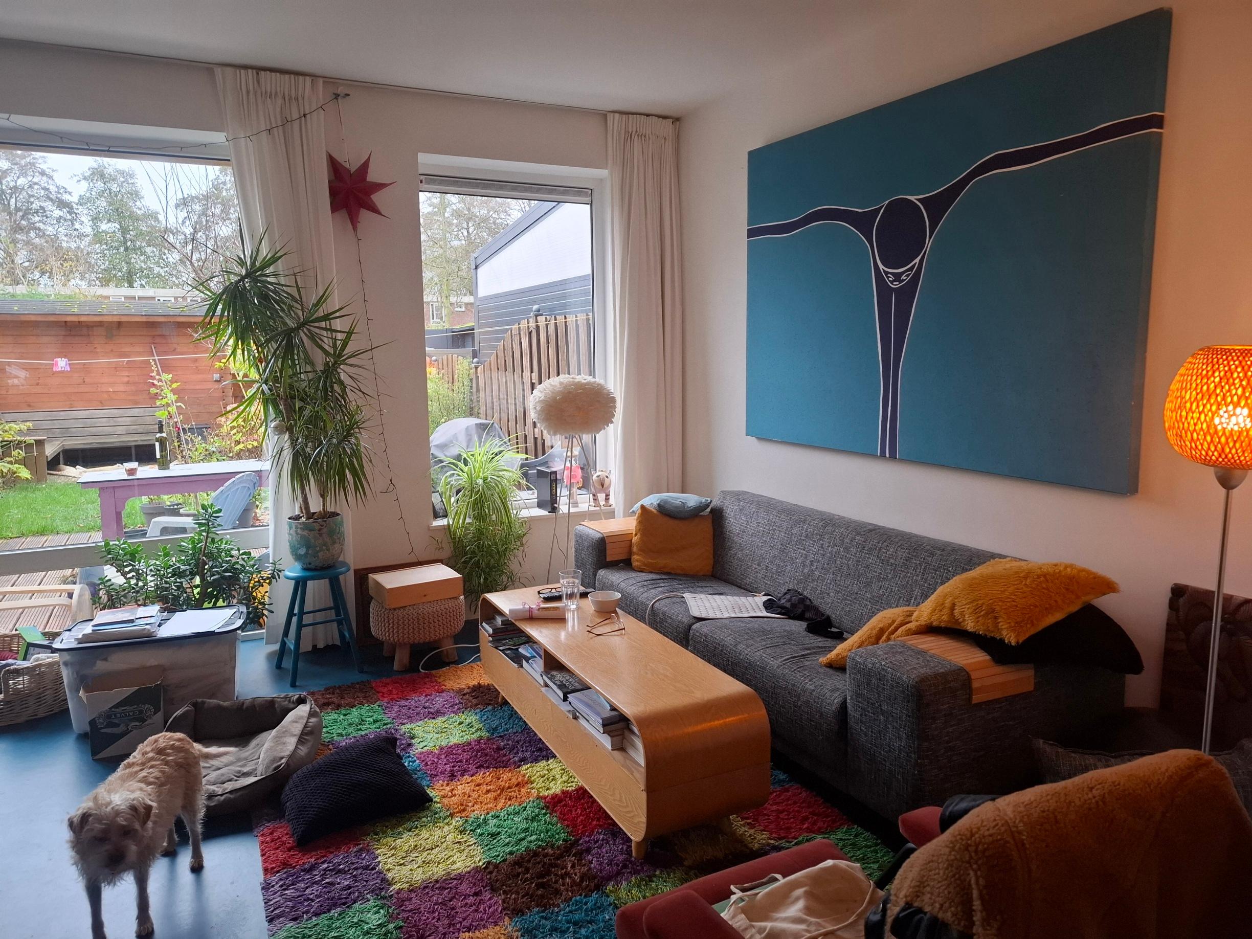 show all photos of Perseusstraat