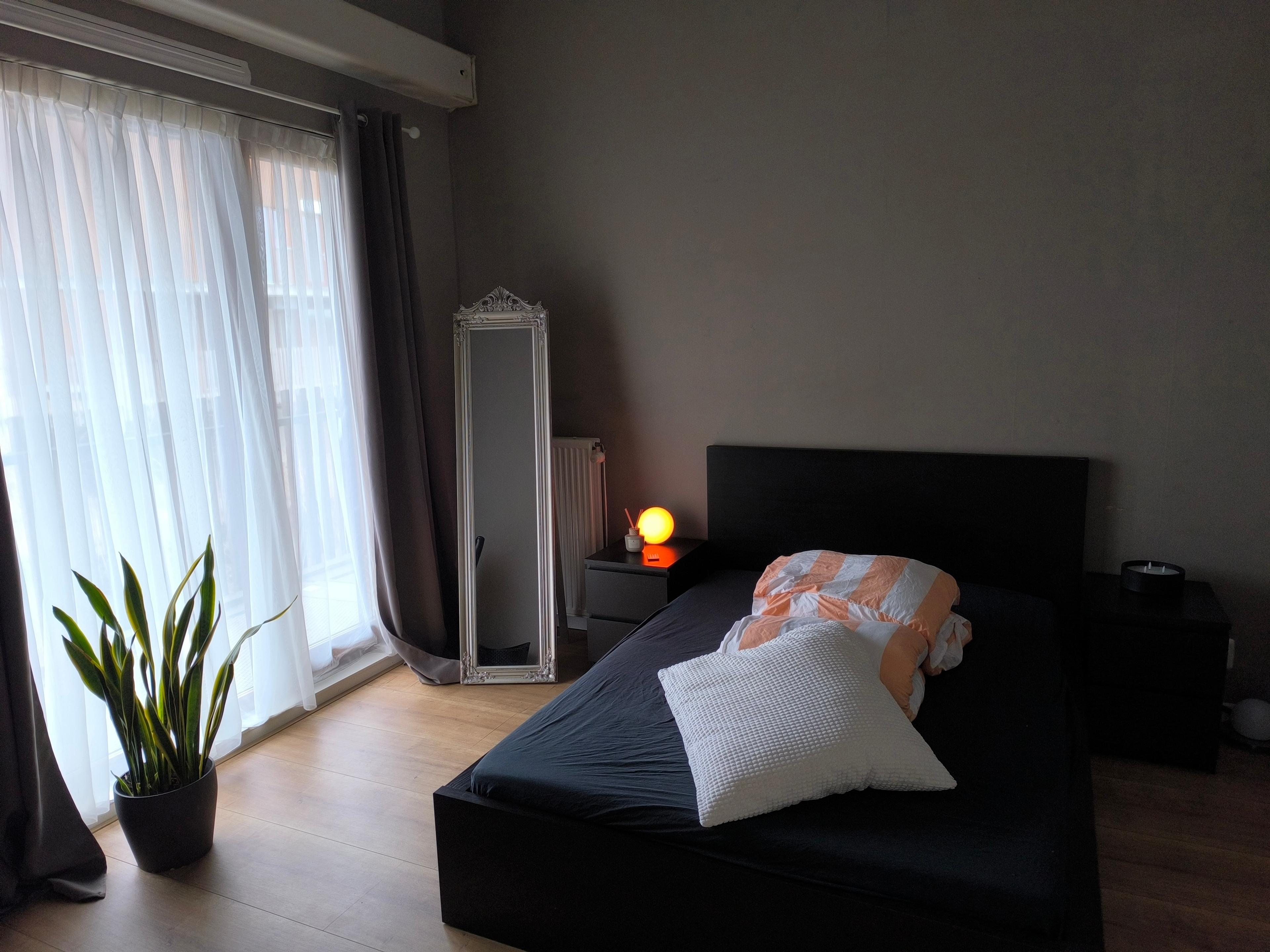 show all photos of Musicallaan