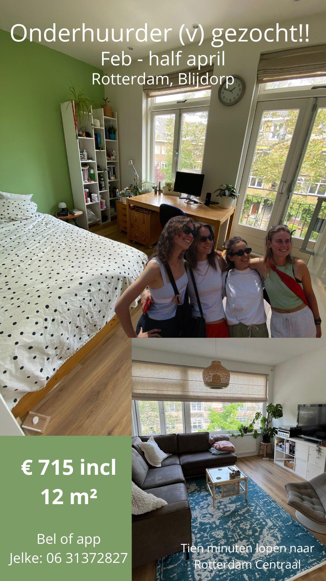 show all photos of Lumeystraat