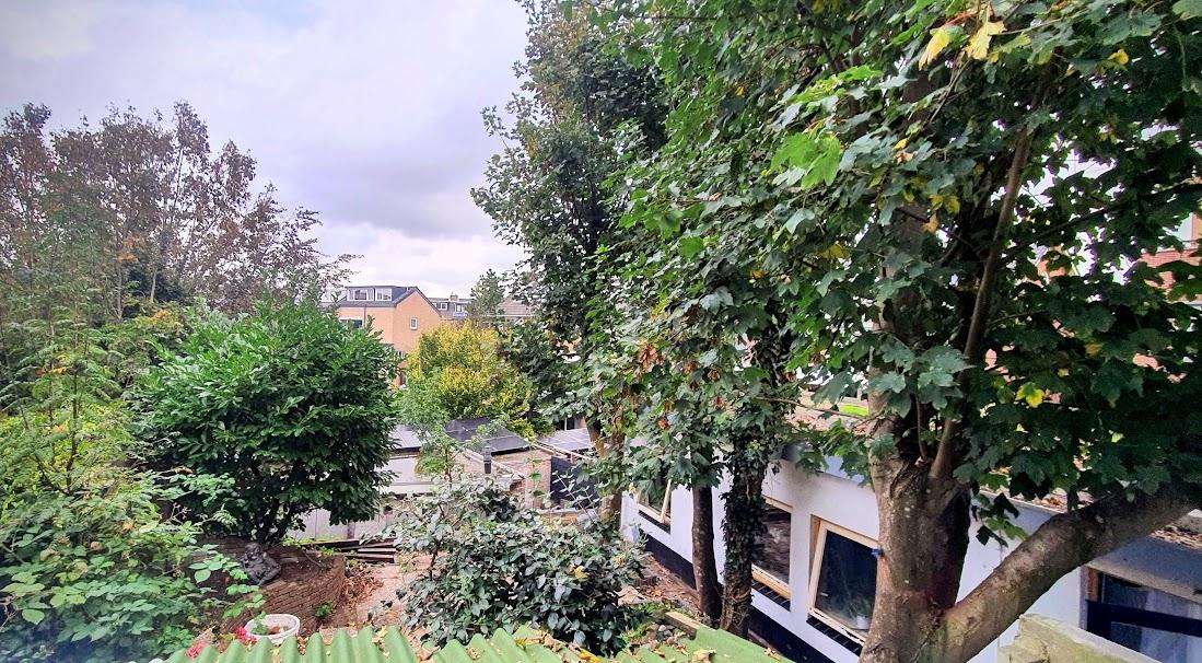 show all photos of Daniel Noteboomstraat