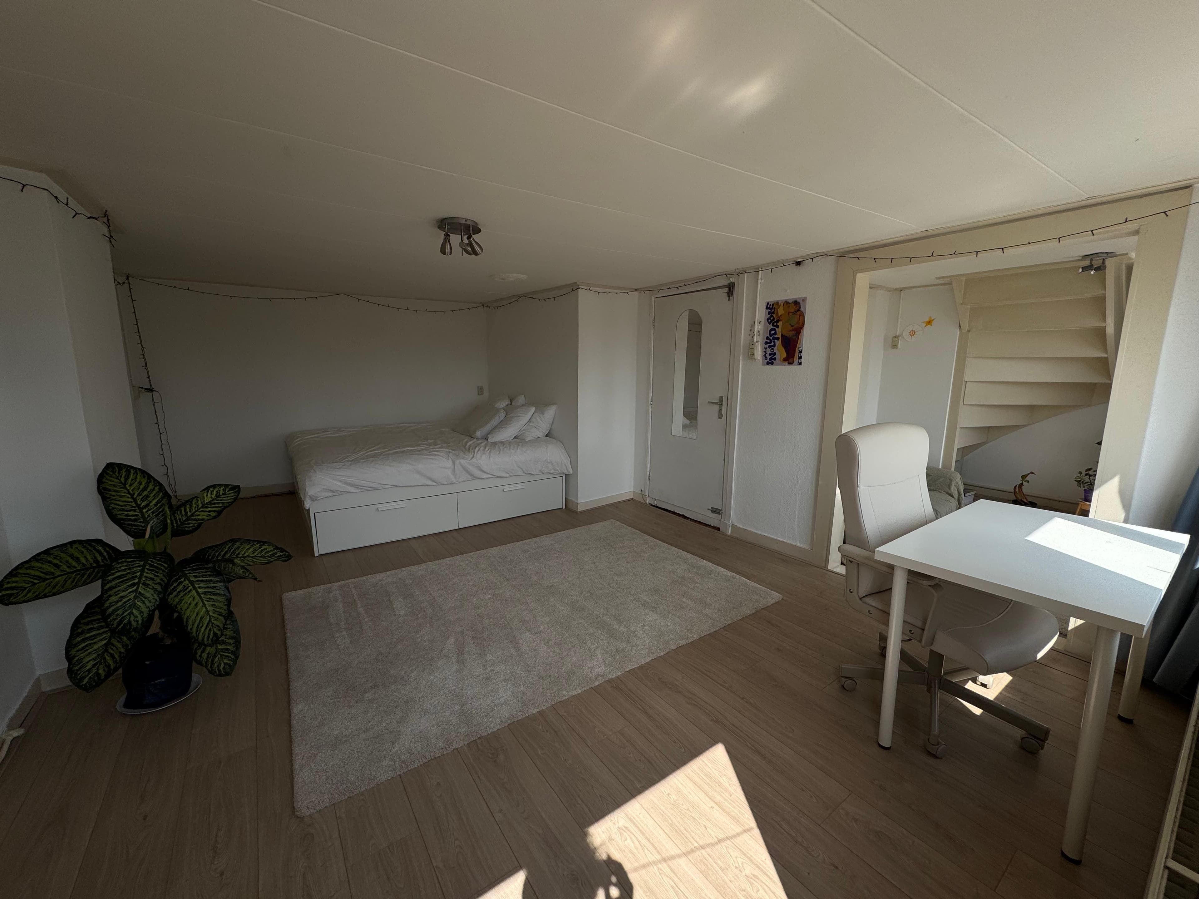 Beestenmarkt, Leiden