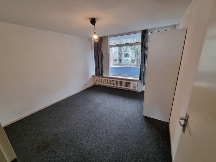 show all photos of Tobias Asserlaan