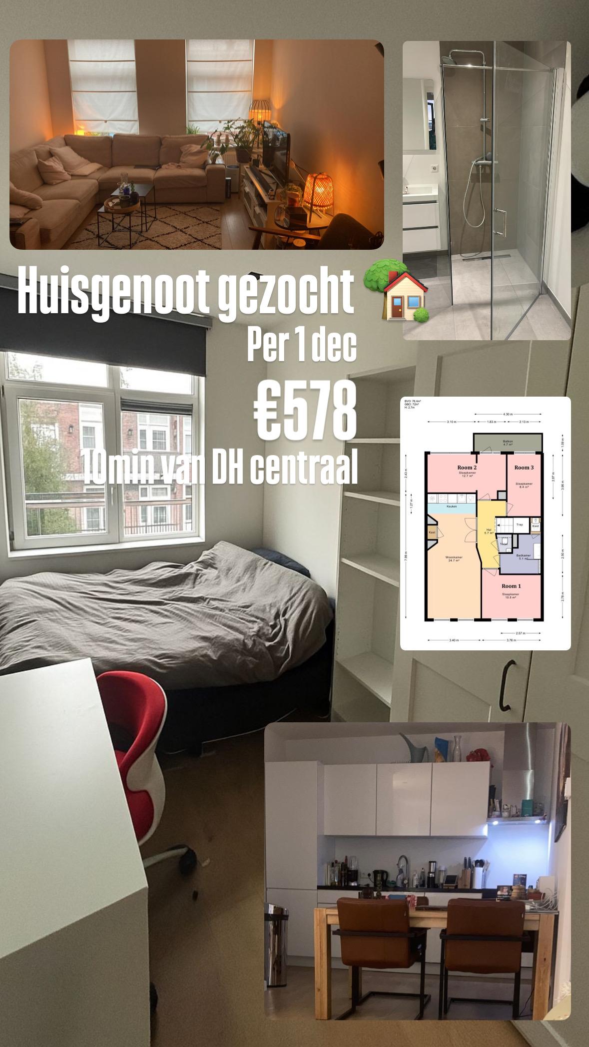 show all photos of Hoenderloostraat