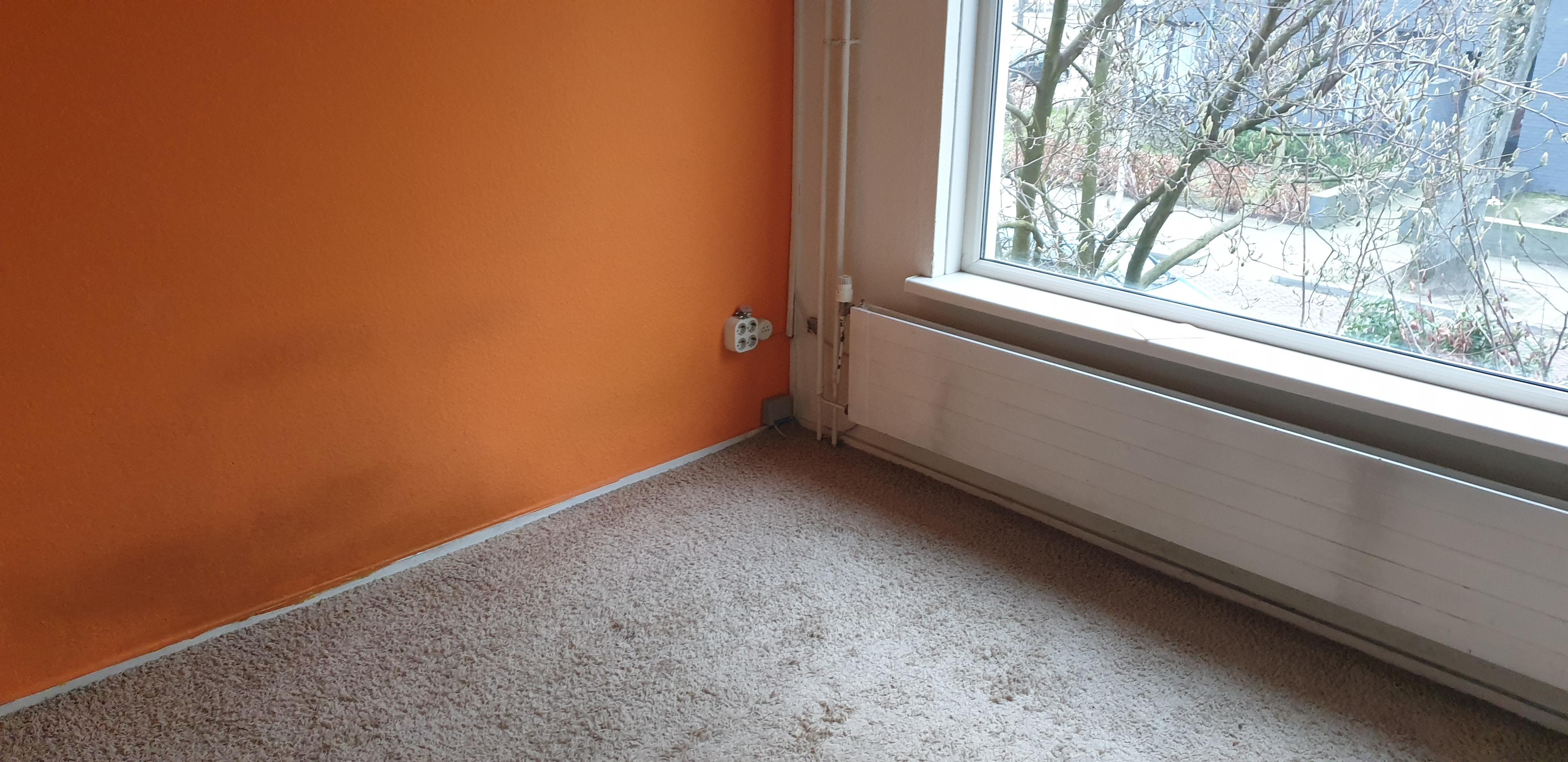 show all photos of Schelfhoutstraat