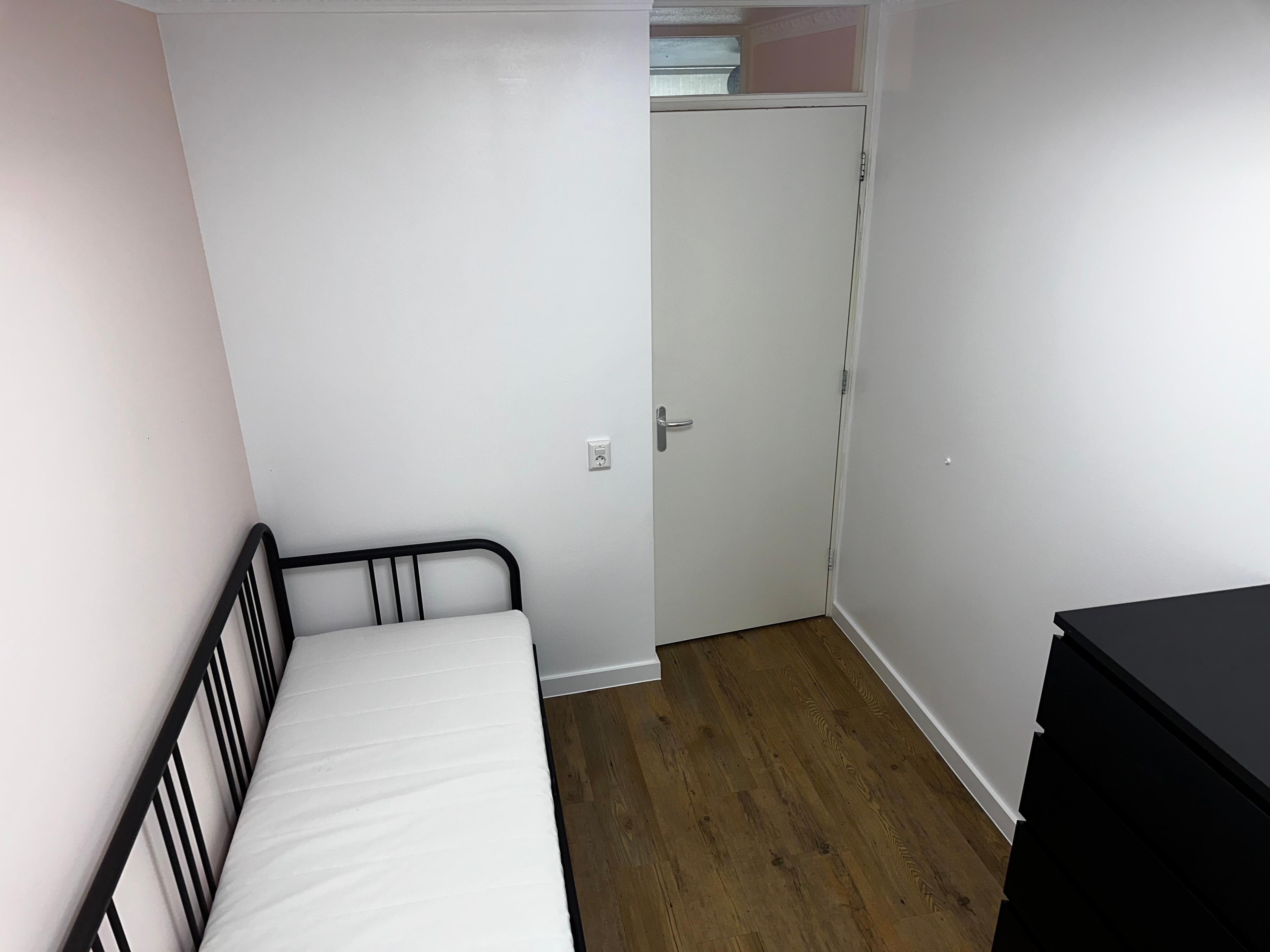 show all photos of Eekhoornrade