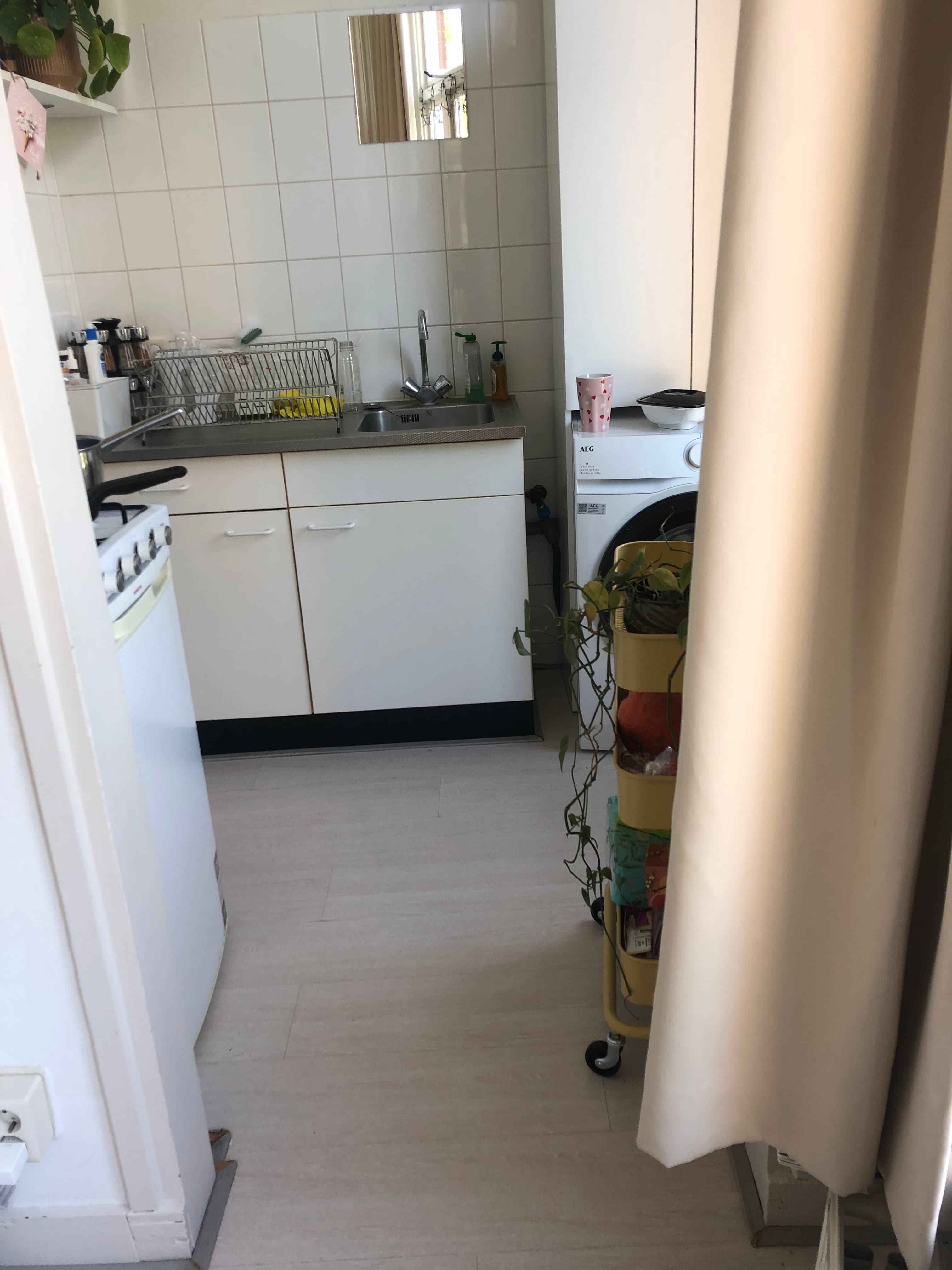 show all photos of Petrus Campersingel