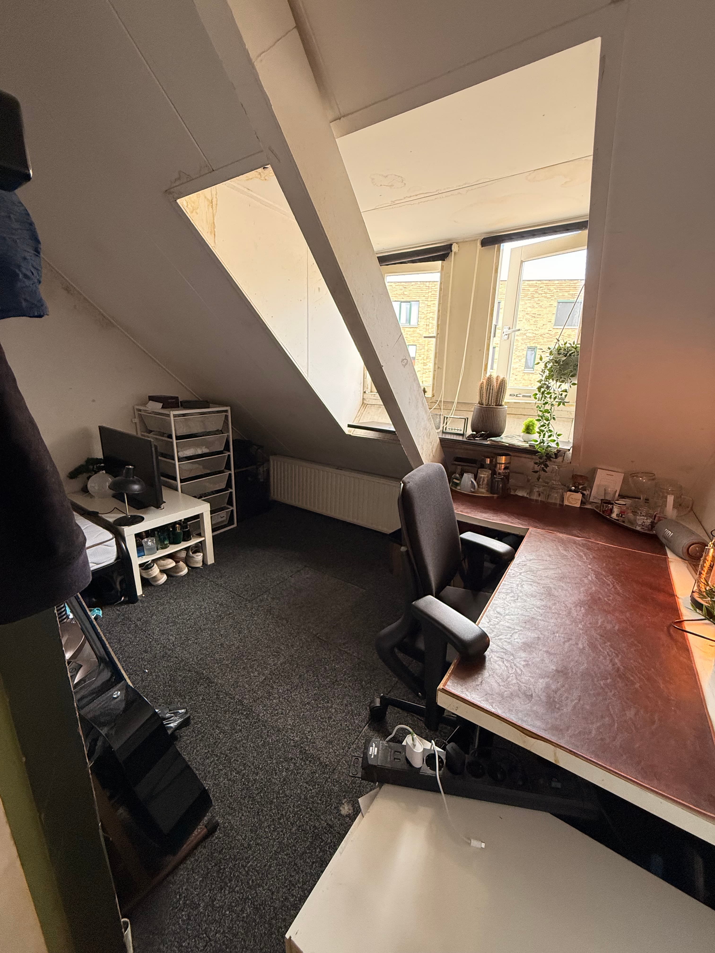 show all photos of Hoge Steenweg