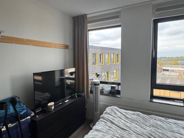 show all photos of Tramsingel