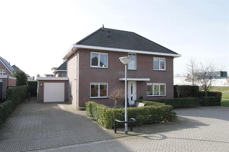 show all photos of Goofystraat