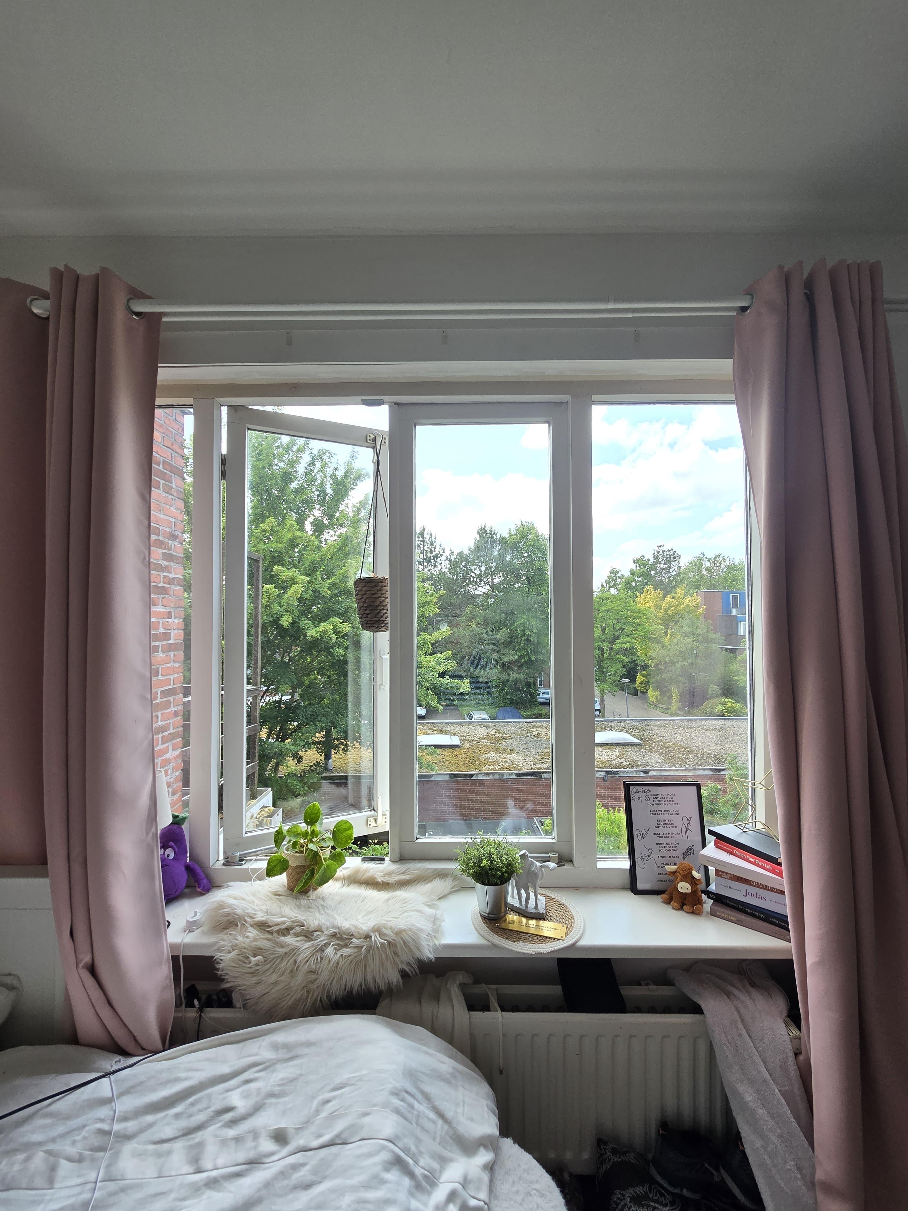 show all photos of Professor Rankestraat