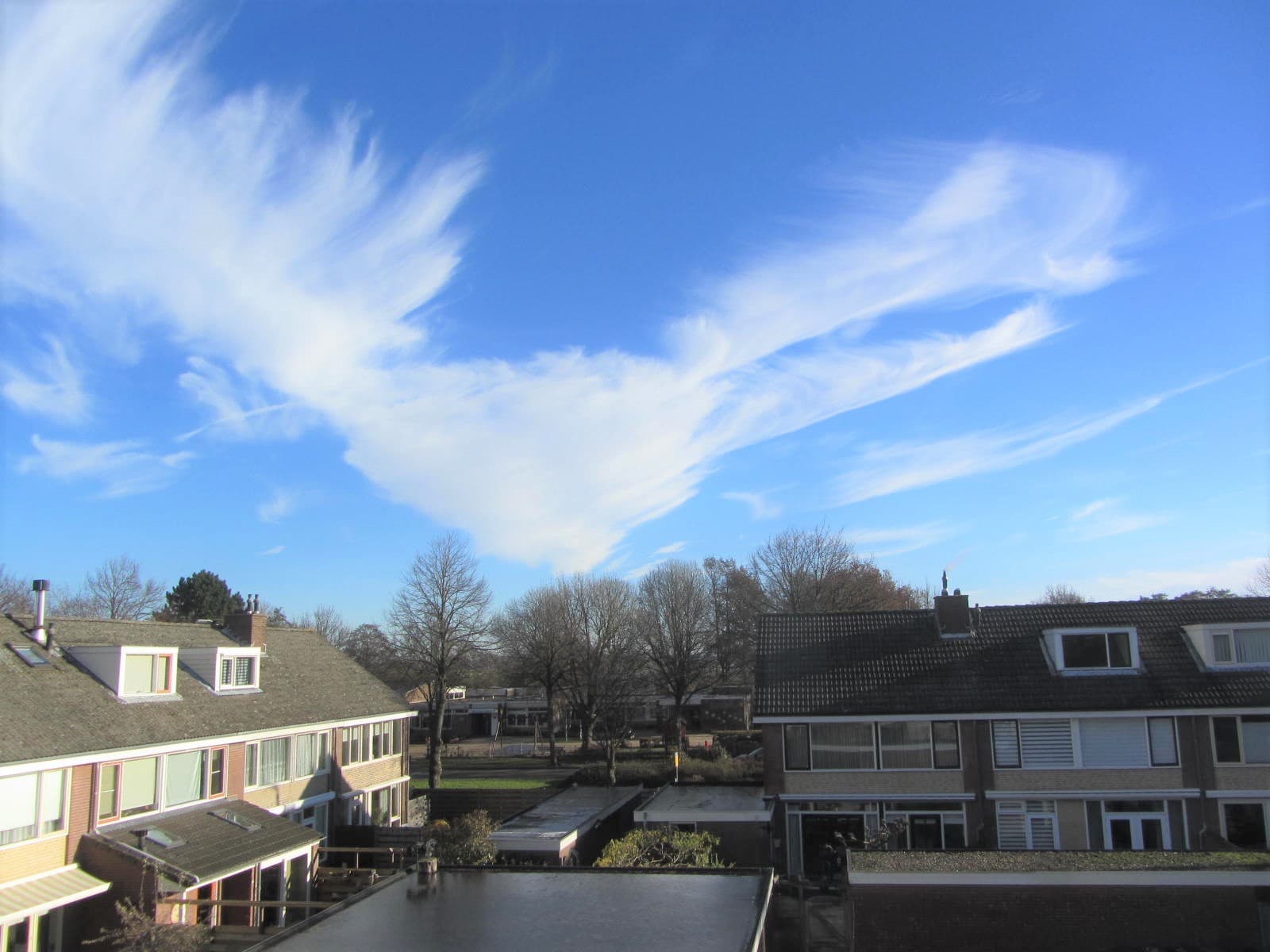 show all photos of Mercuriusstraat