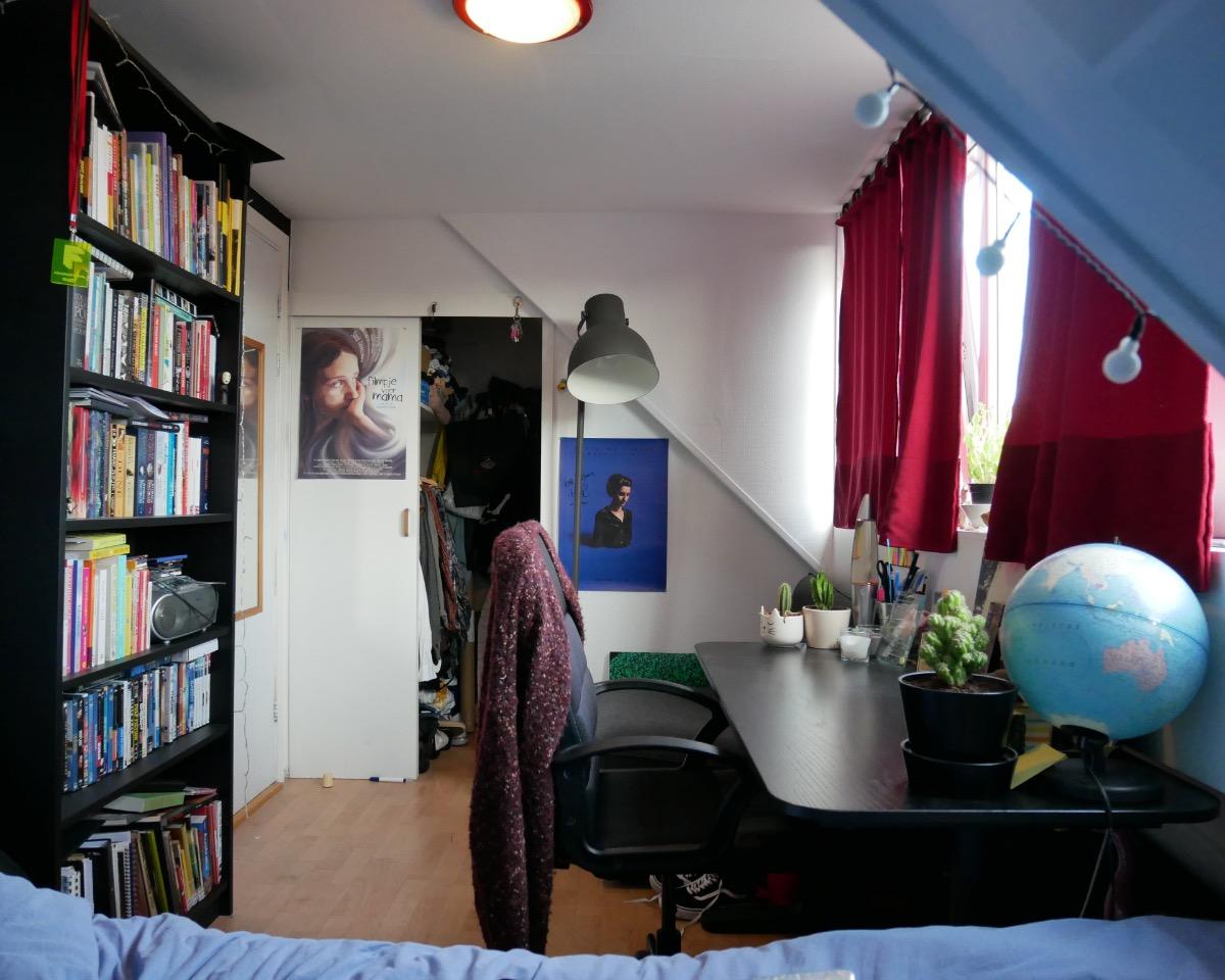 show all photos of Zilvermeeuwstraat