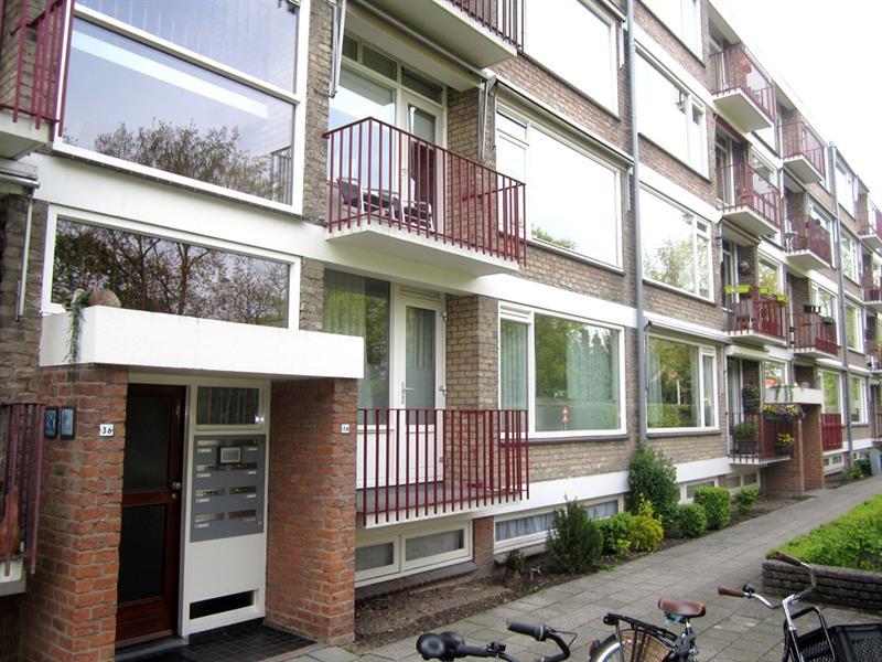 show all photos of Stadswal